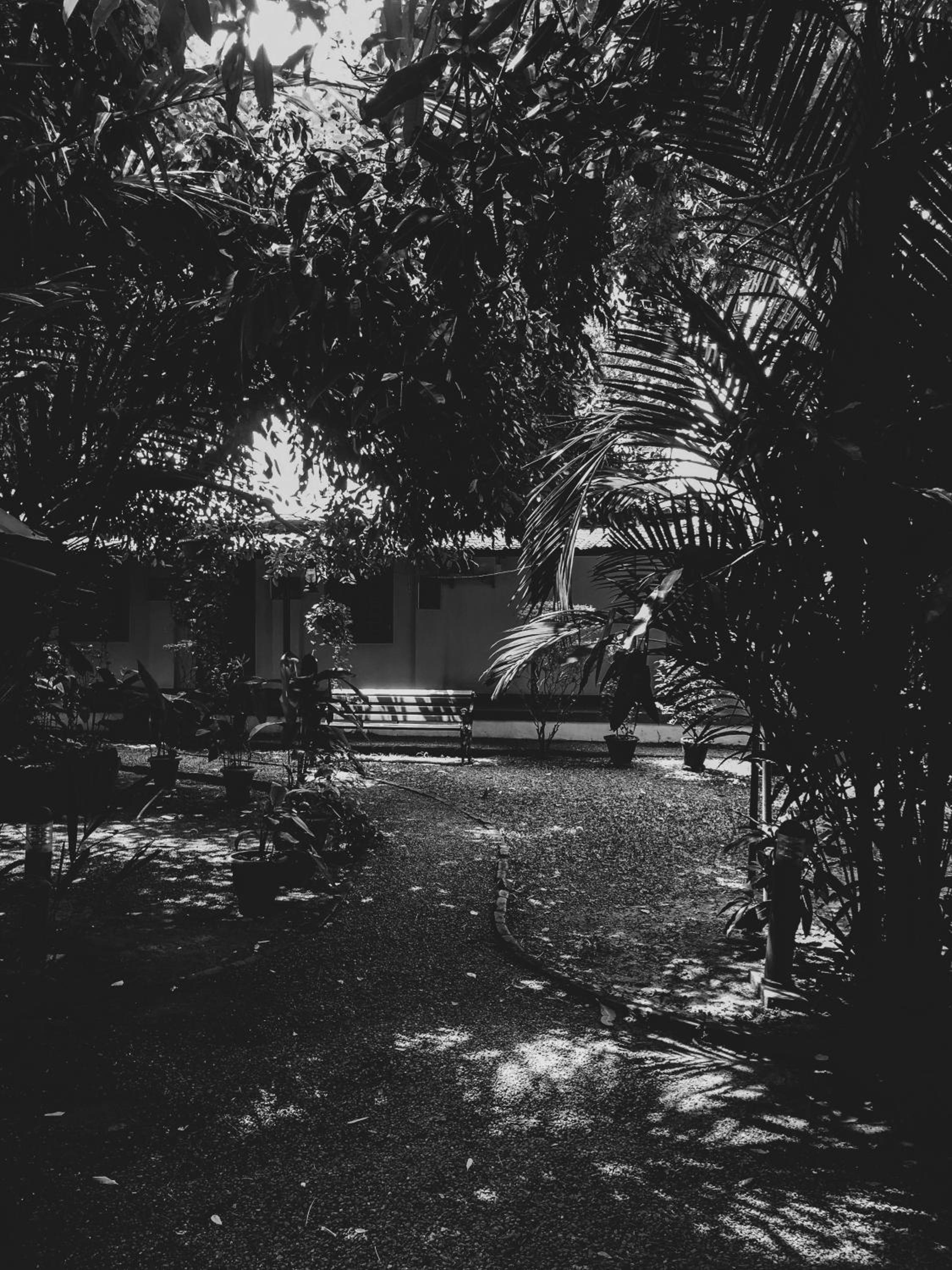 Palm Grove Service Villa