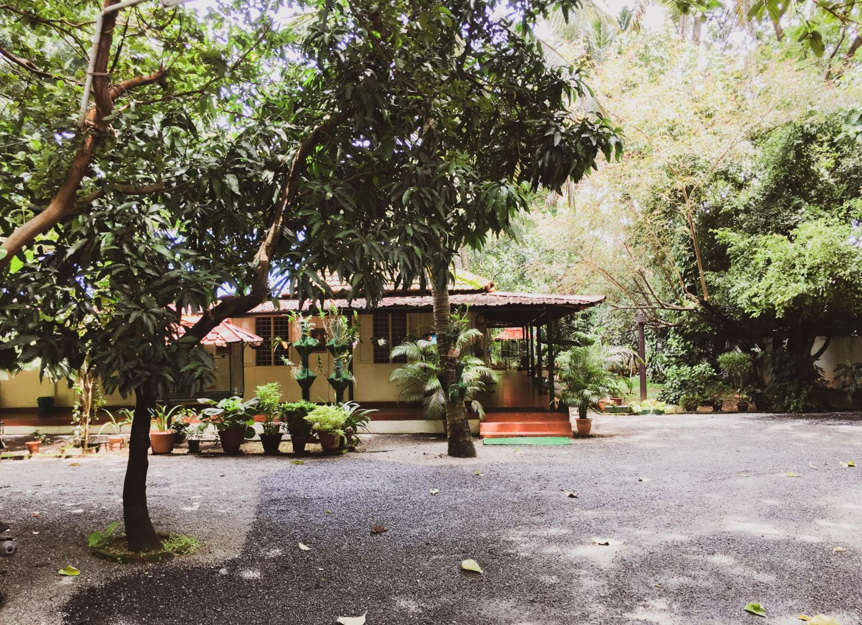Palm Grove Service Villa - Image 5