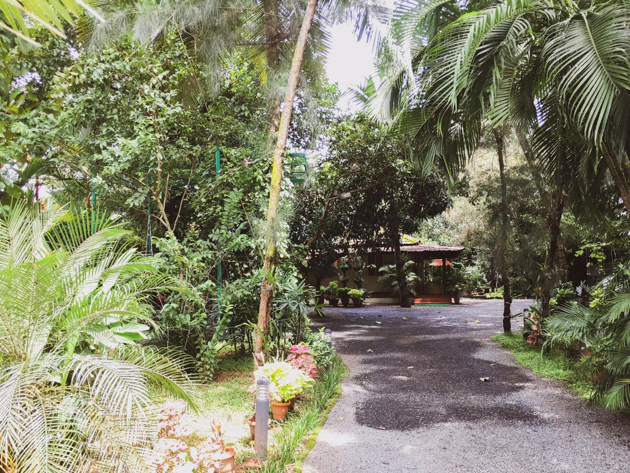 Palm Grove Service Villa - Image 4
