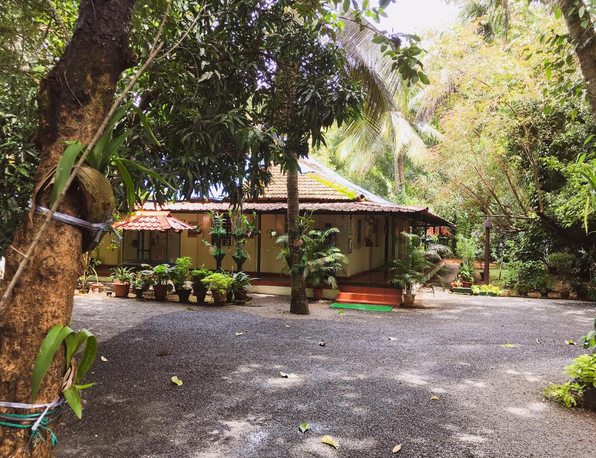 Palm Grove Service Villa - Image 3