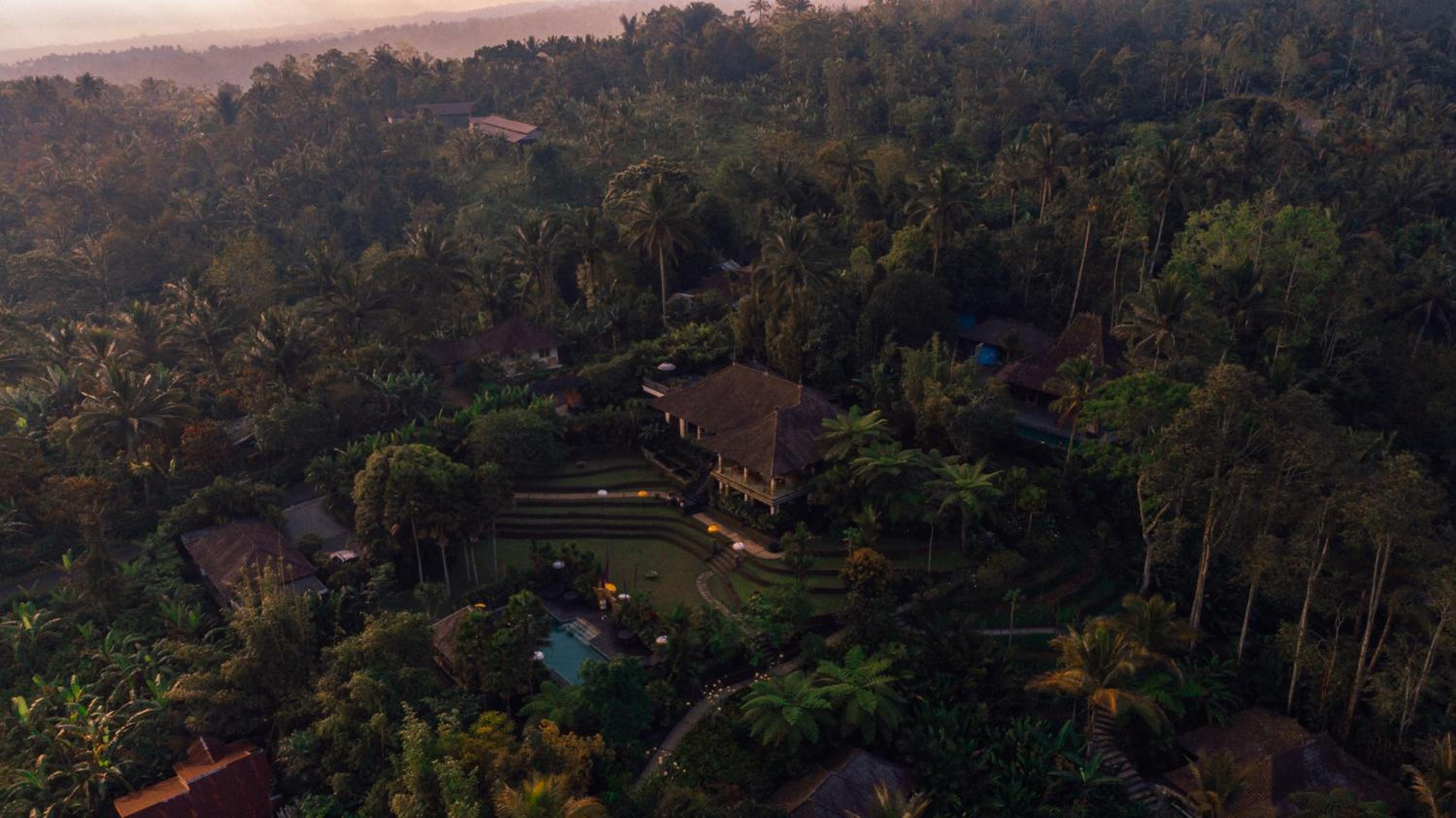 Alassari Plantation