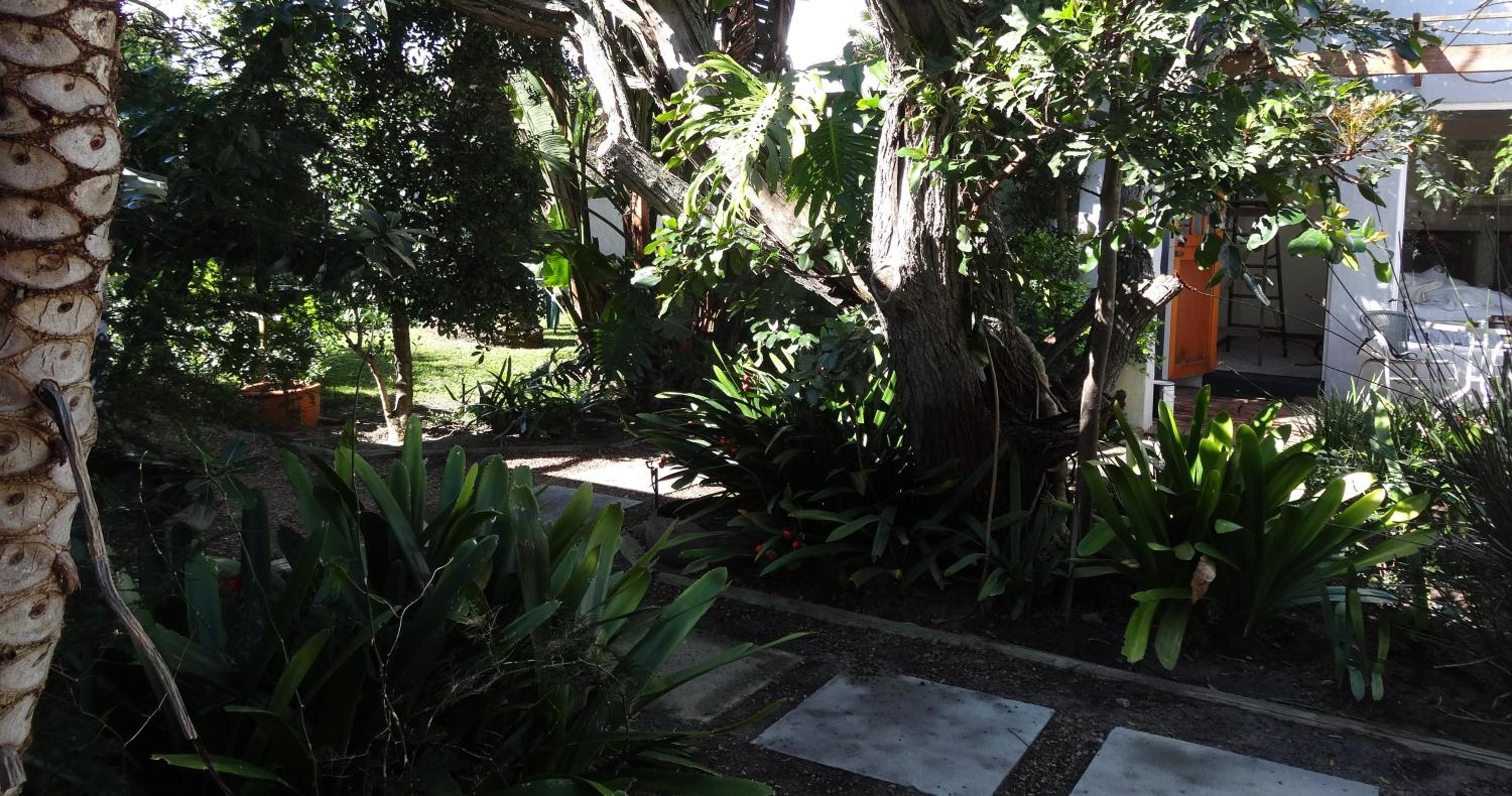 Photo 49