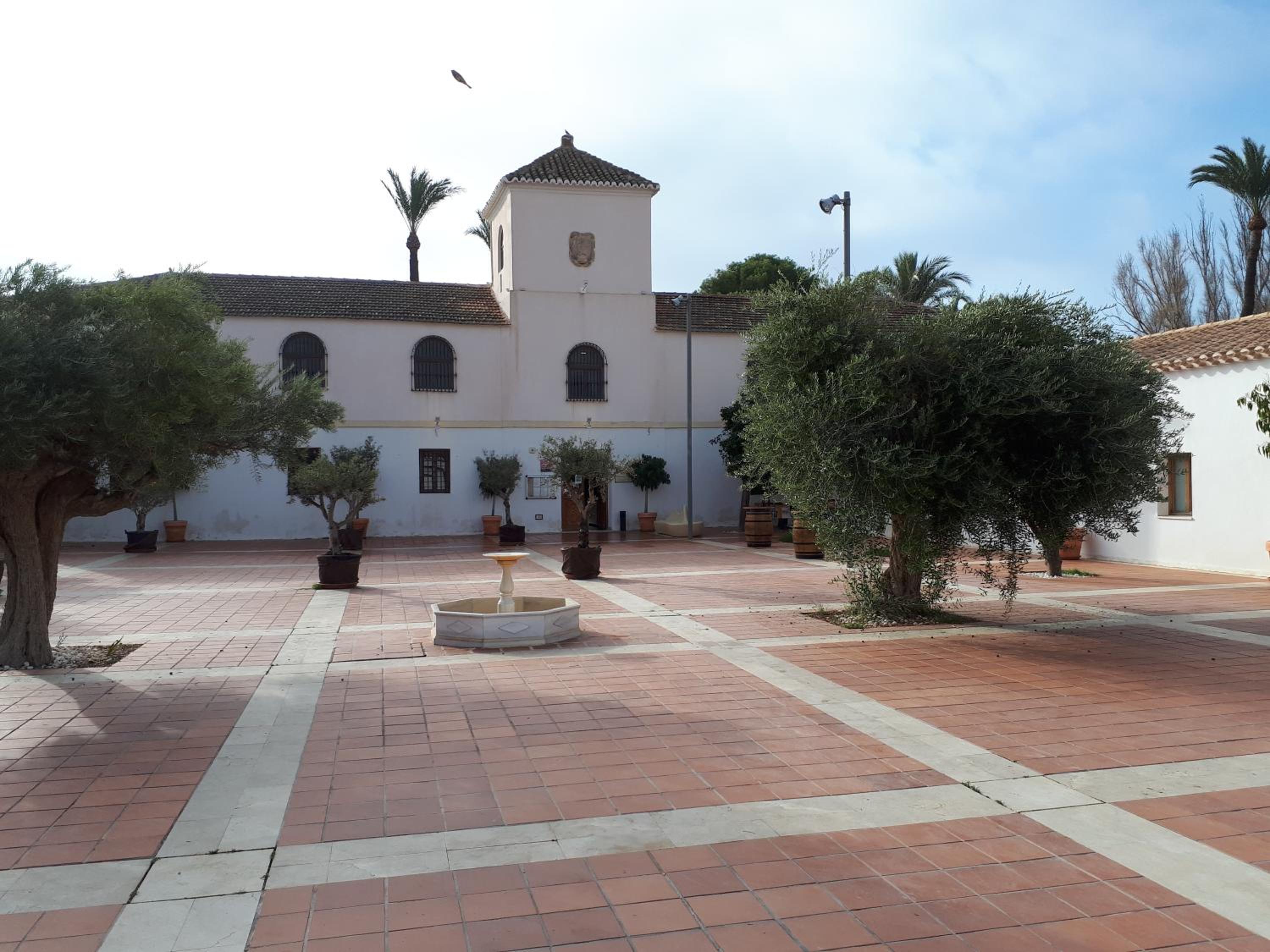 Photo 19