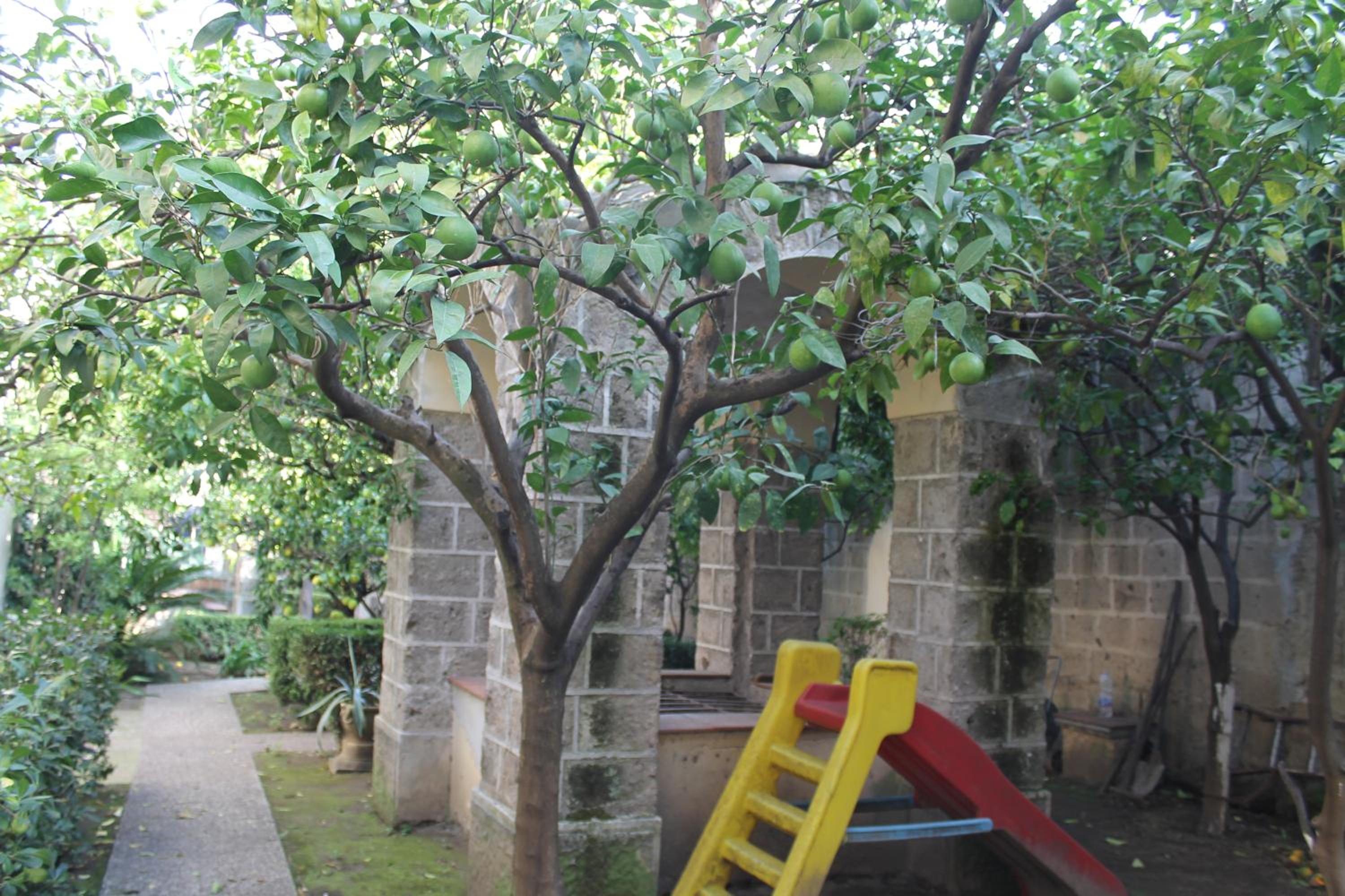 Photo 34