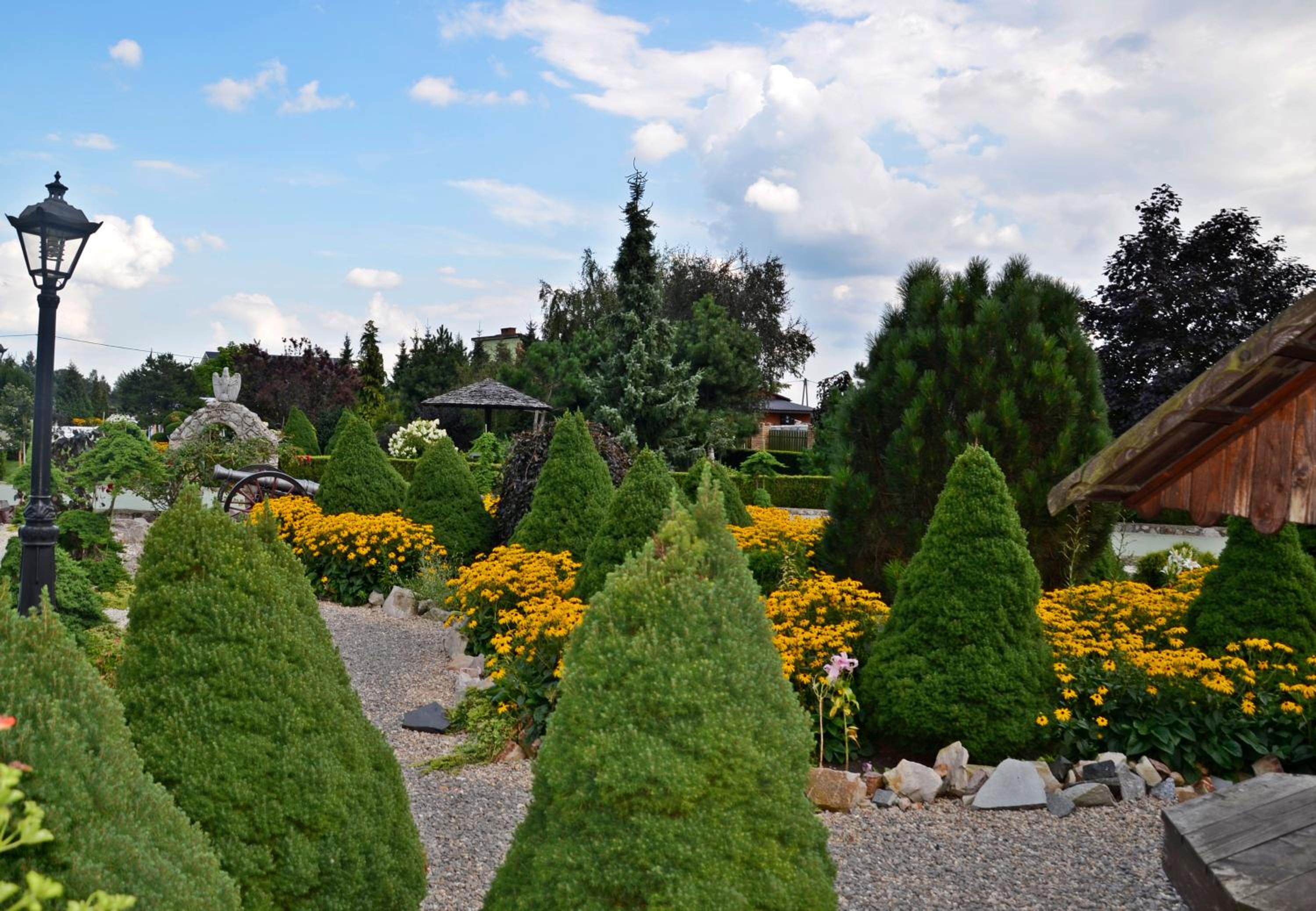 garden