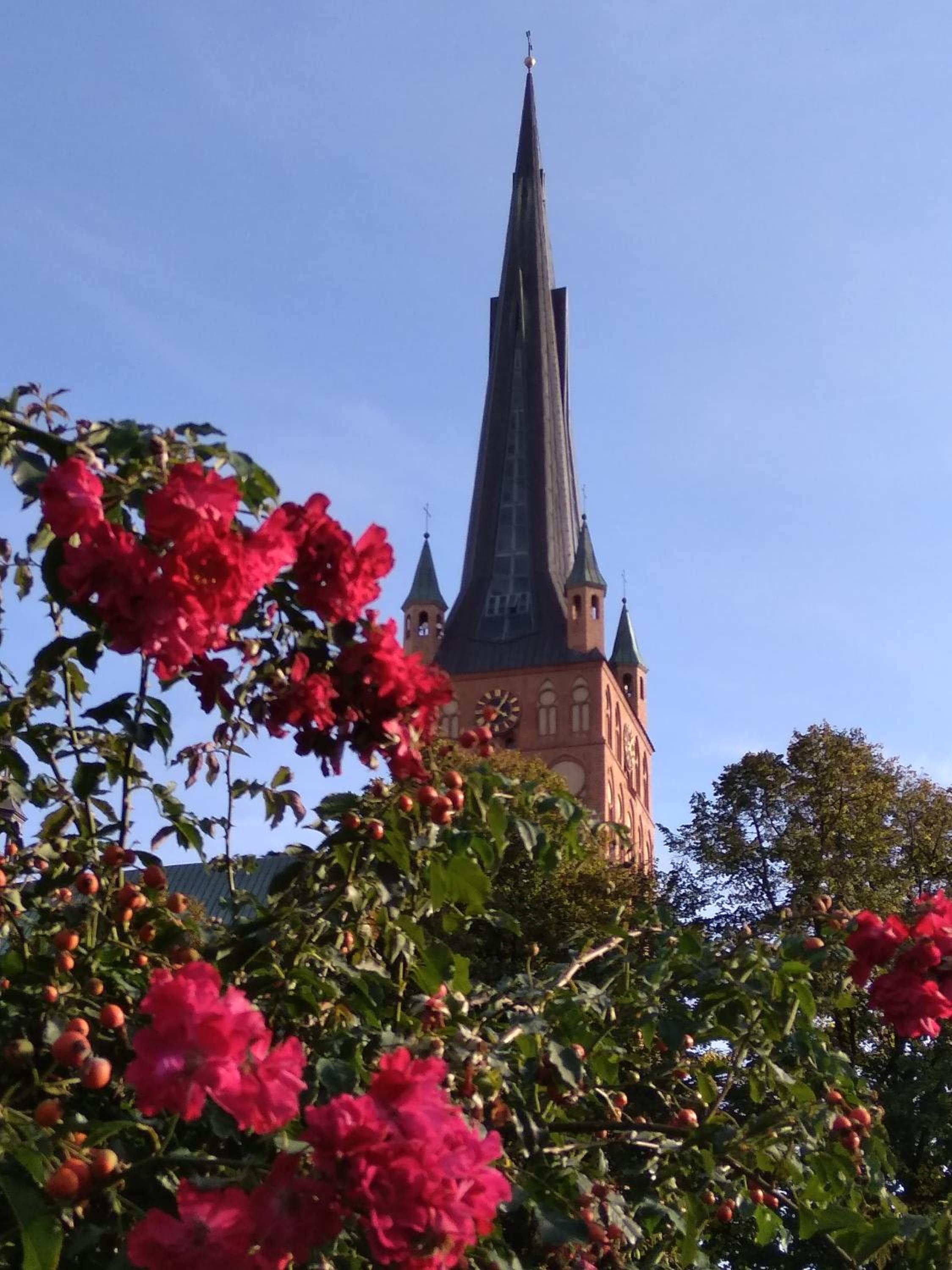 Photo 38