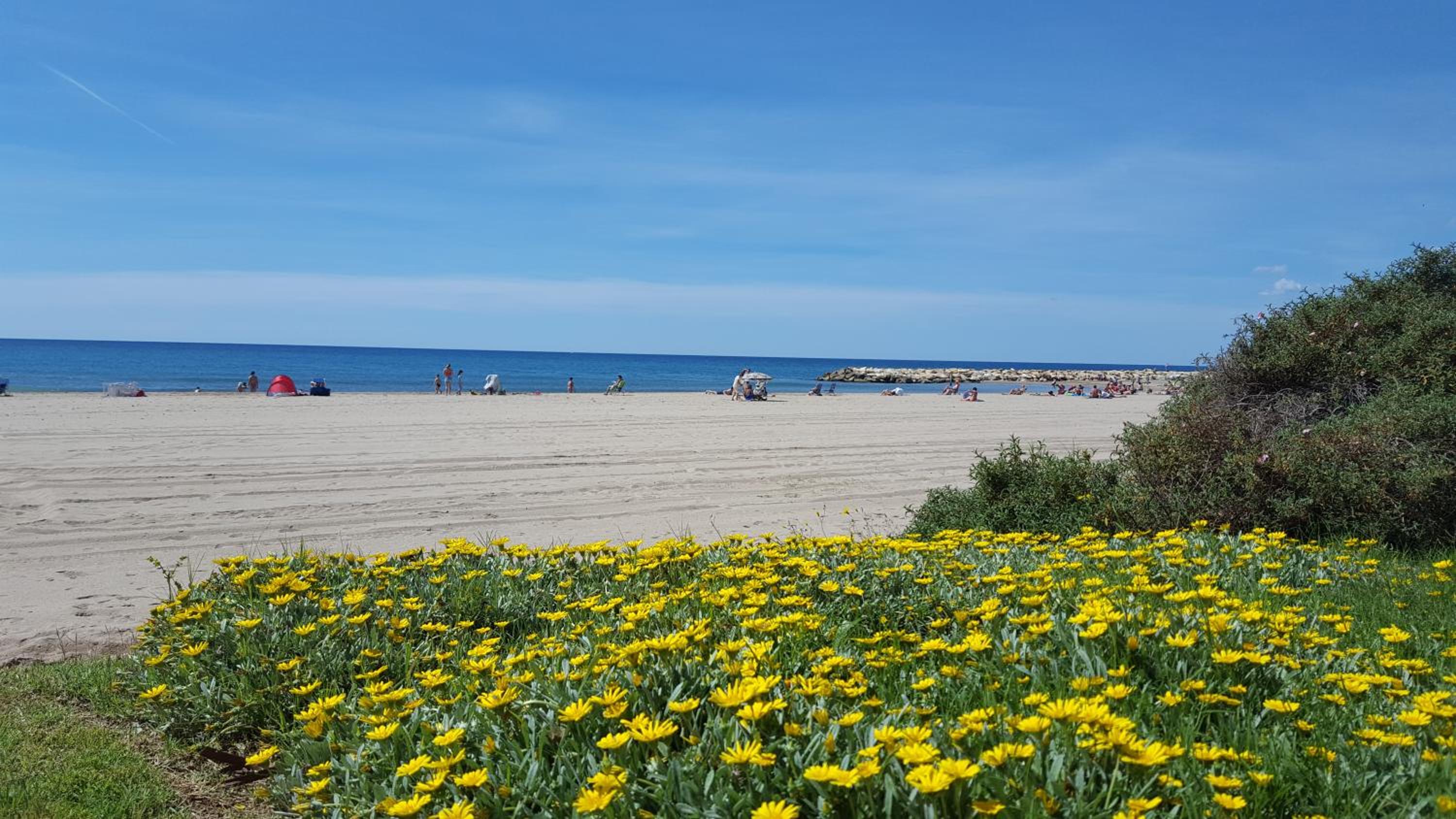 Camping La Llosa