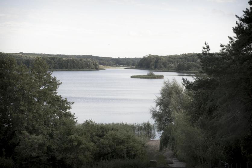 Photo 42