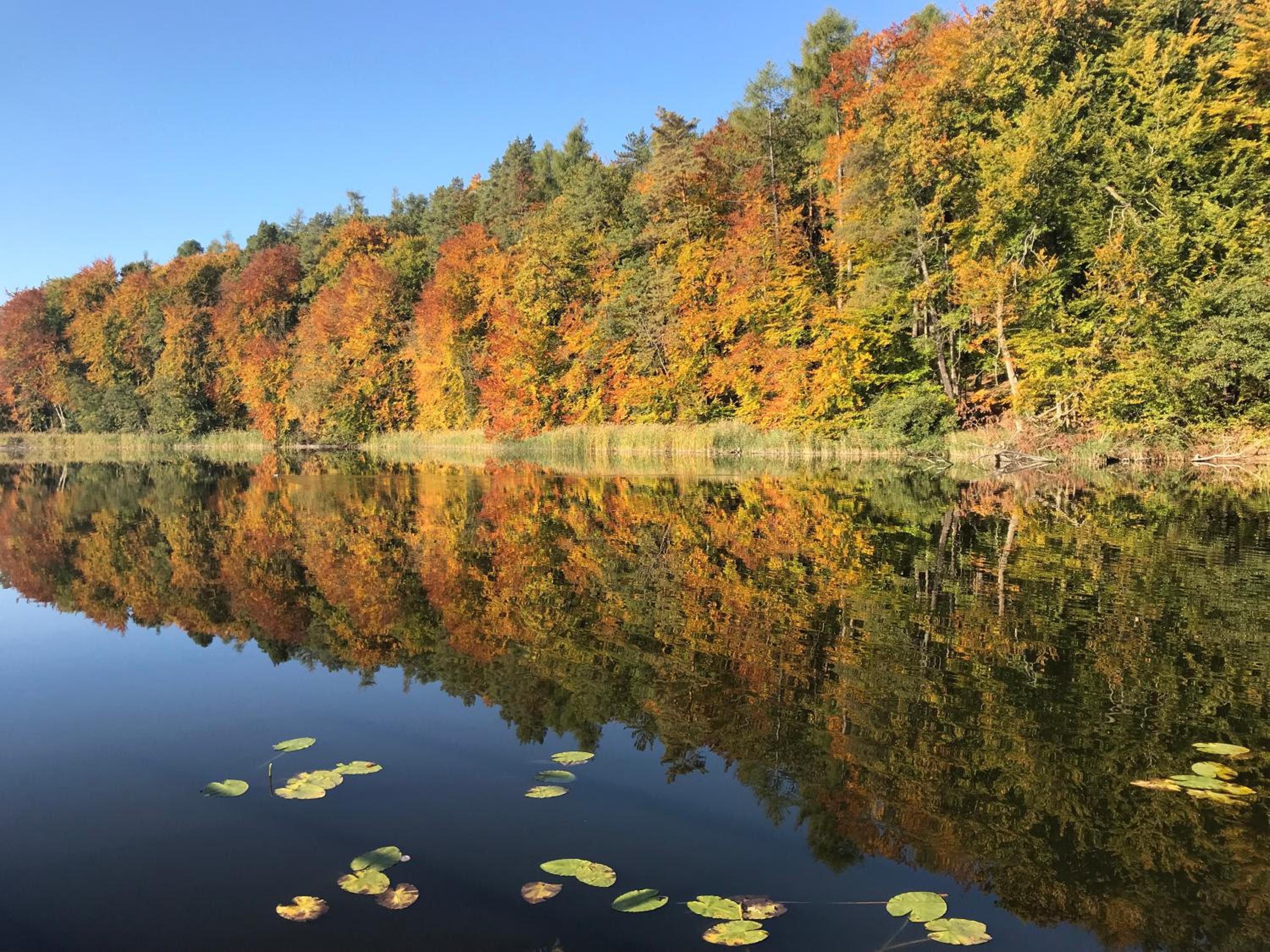 other
