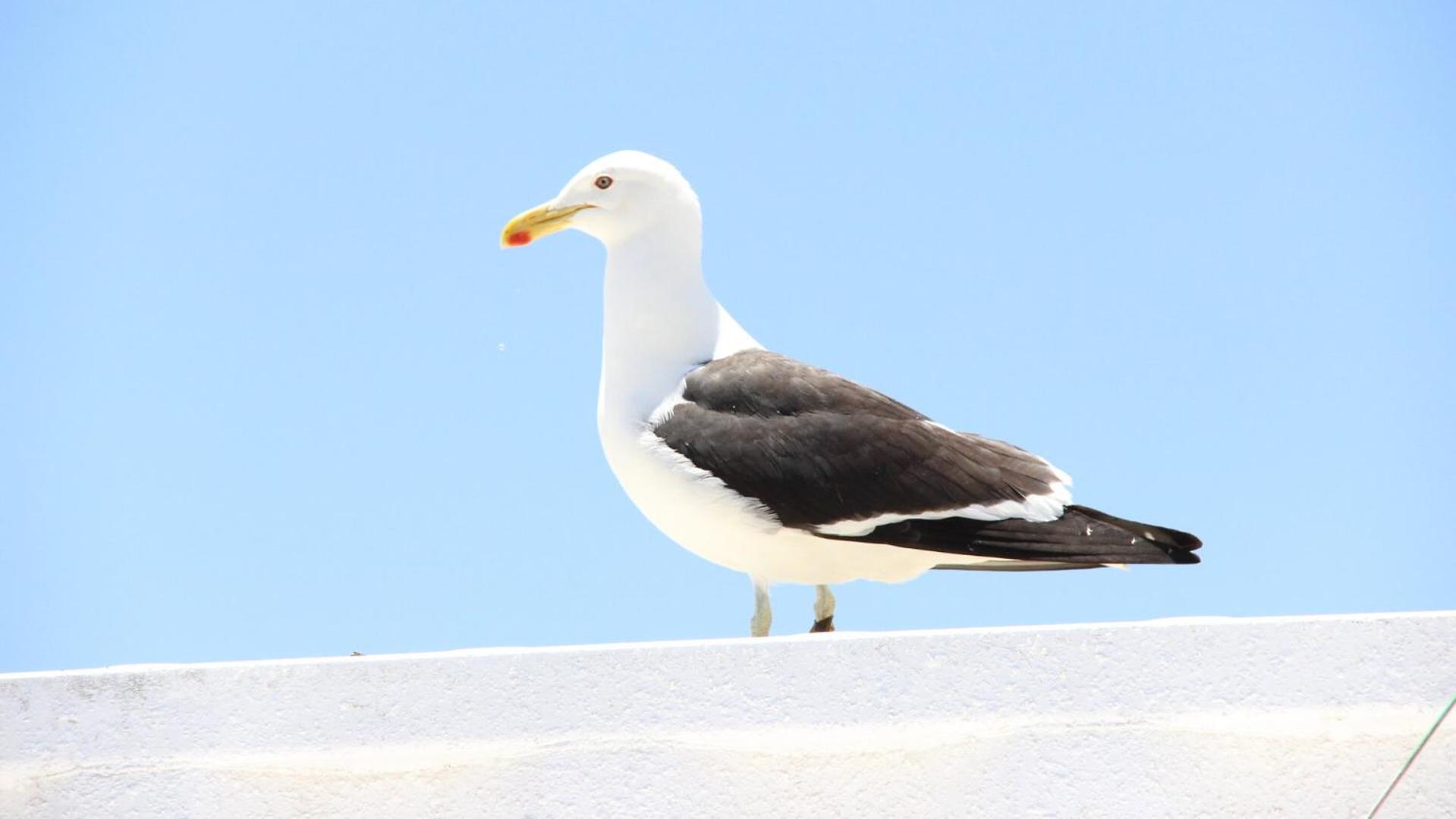 Casa do Mar -Sea house