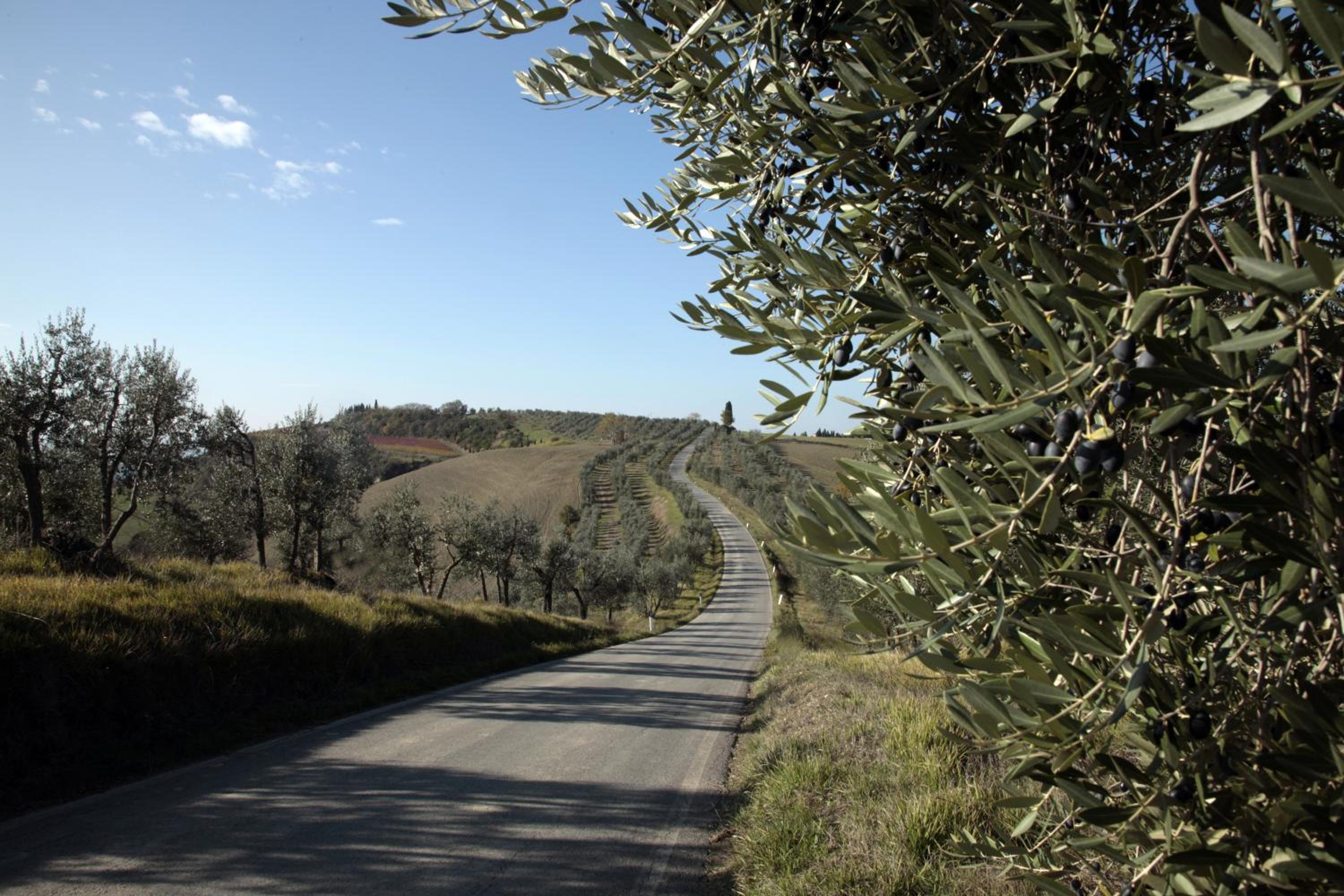 Agriturismo Mocine