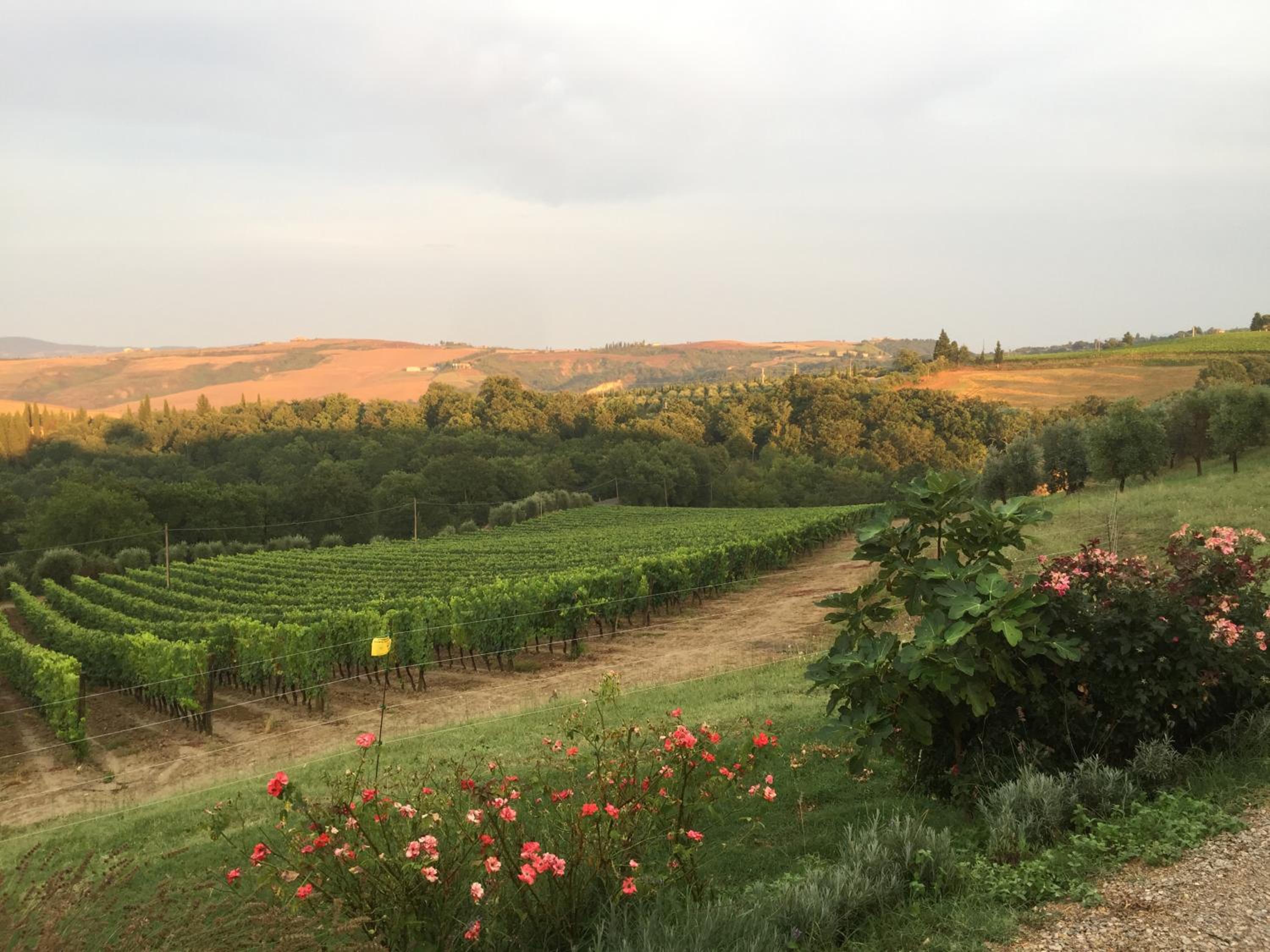 Agriturismo Mocine