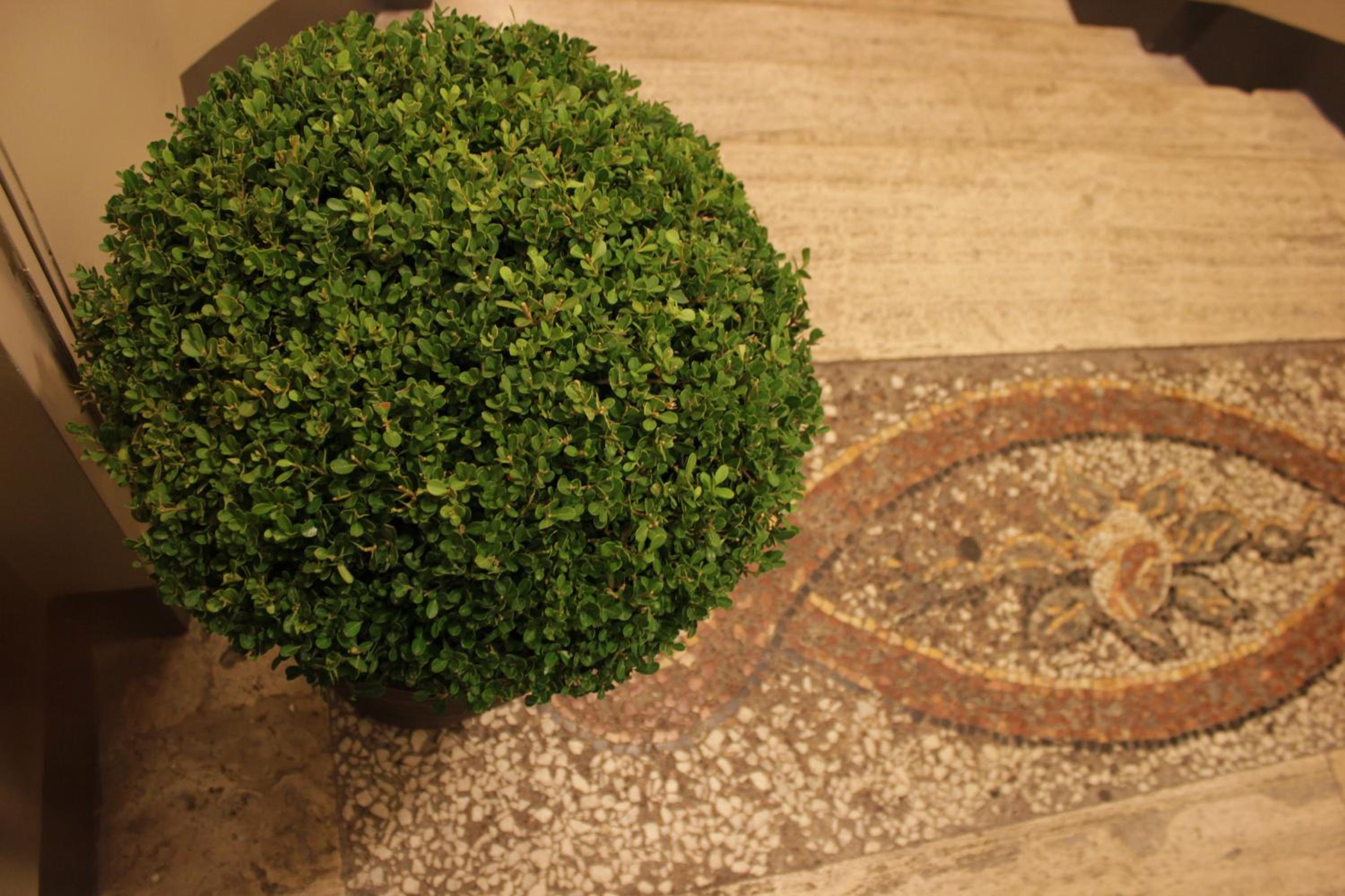 MILLINA SUITES IN NAVONA