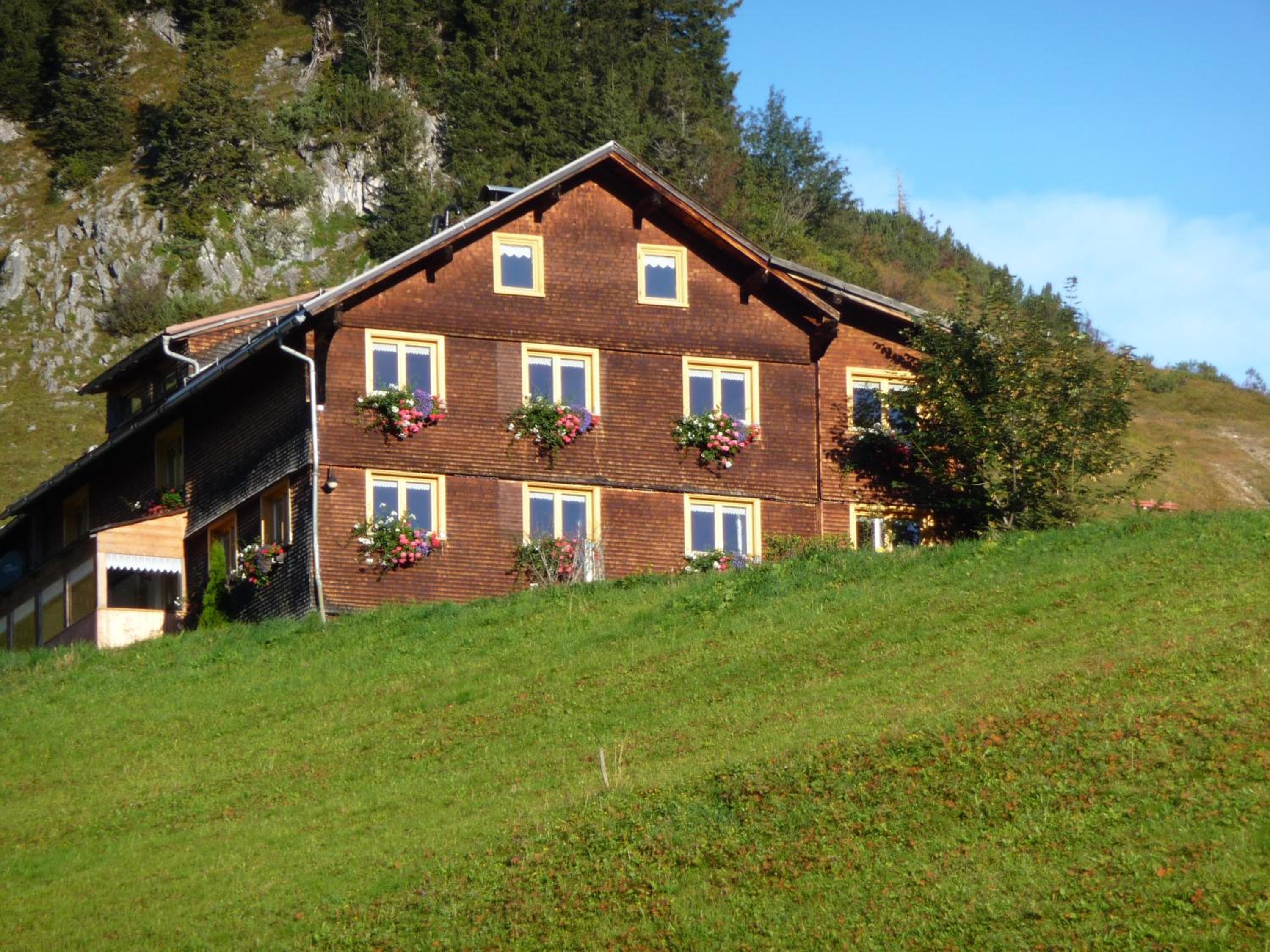 Photo 8