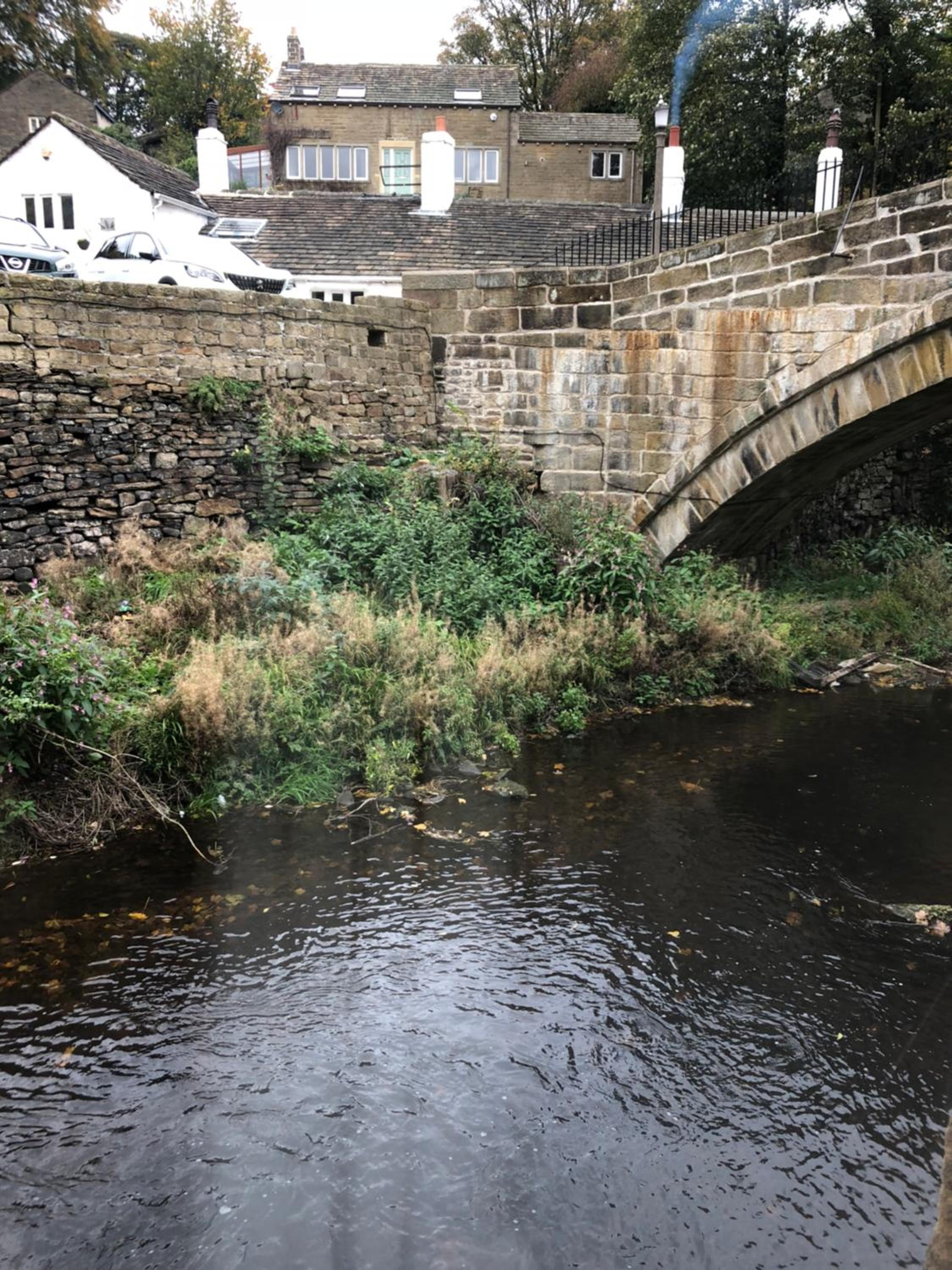 Photo 19