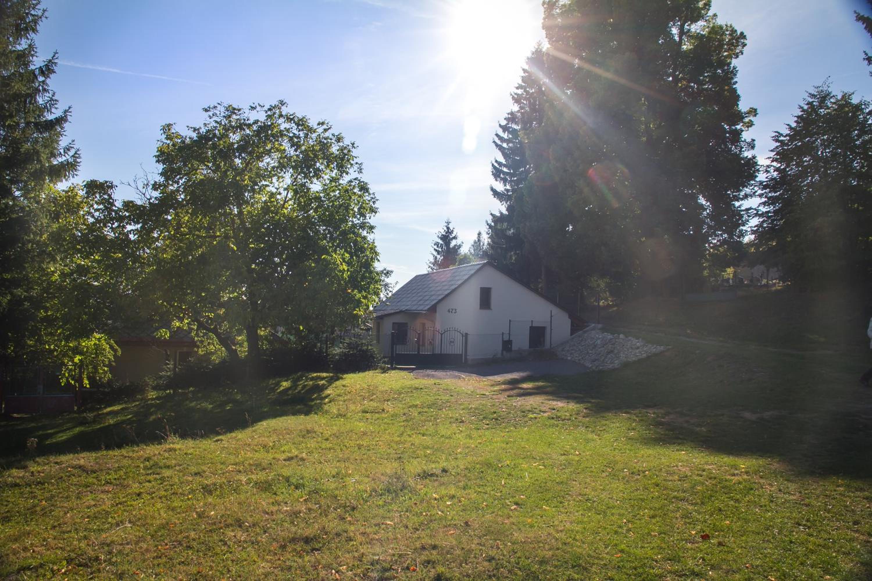 Photo 29
