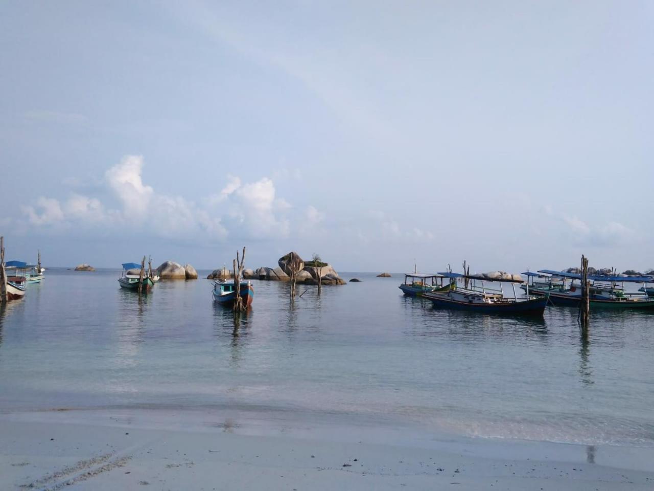 Photo 46