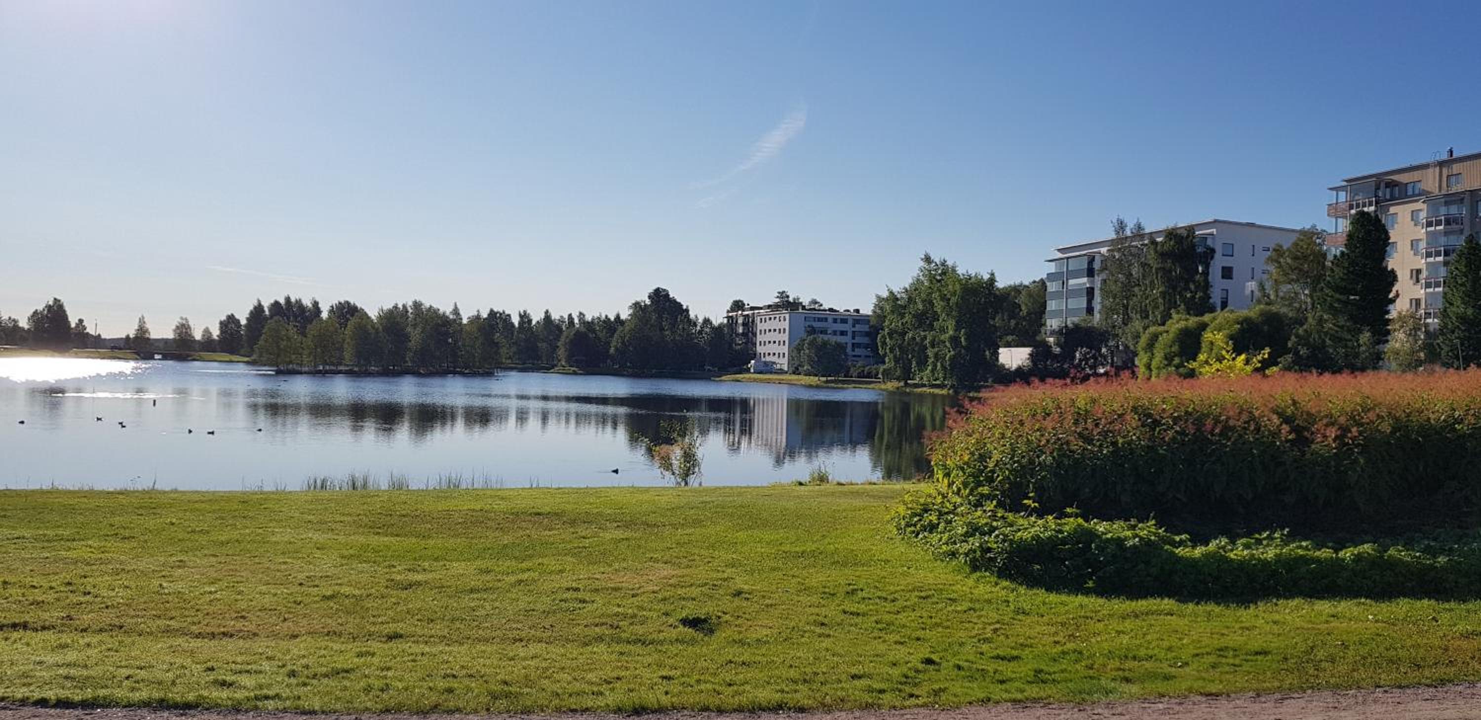 Kismet By BookLapland