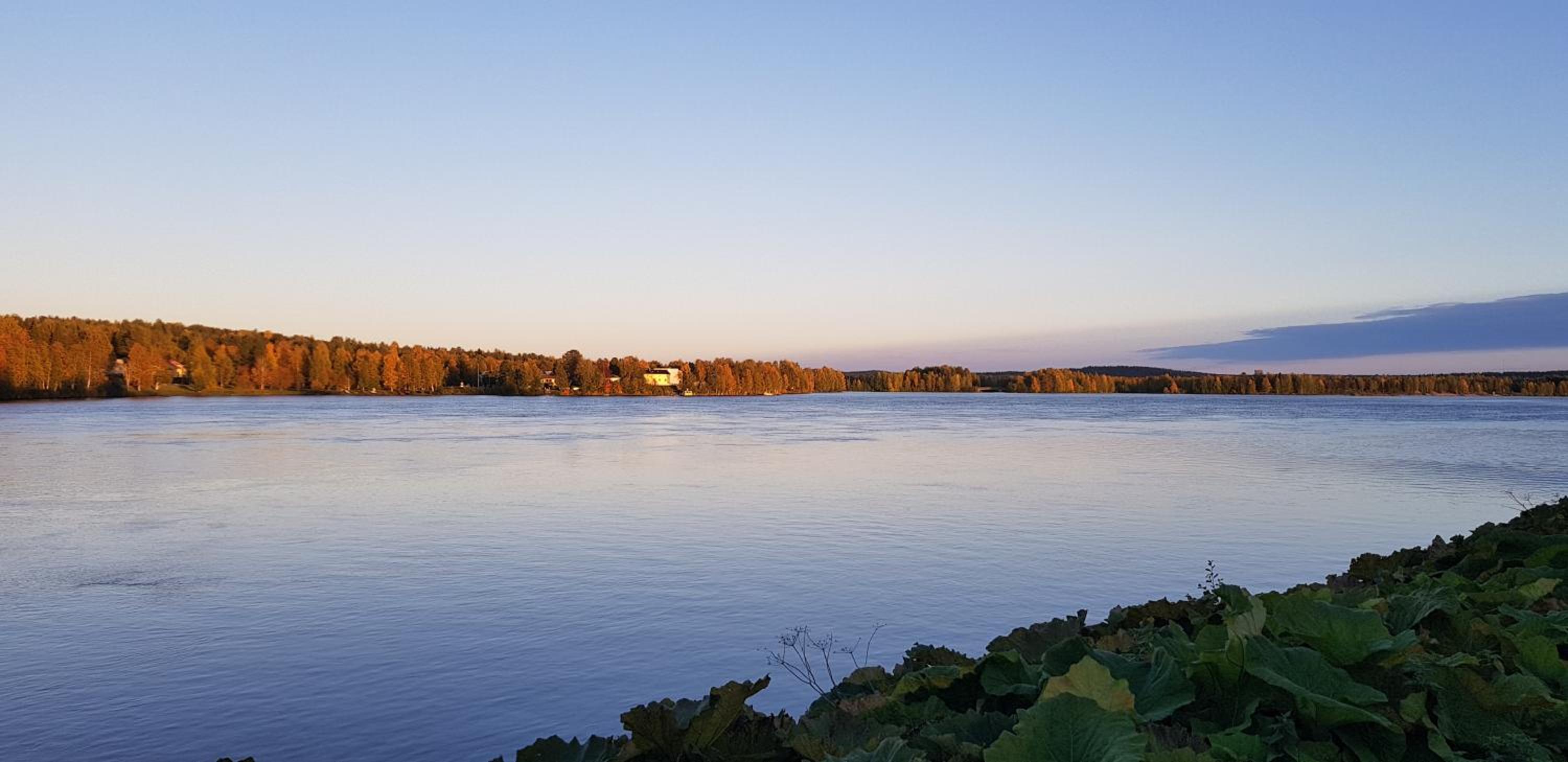 Kismet By BookLapland