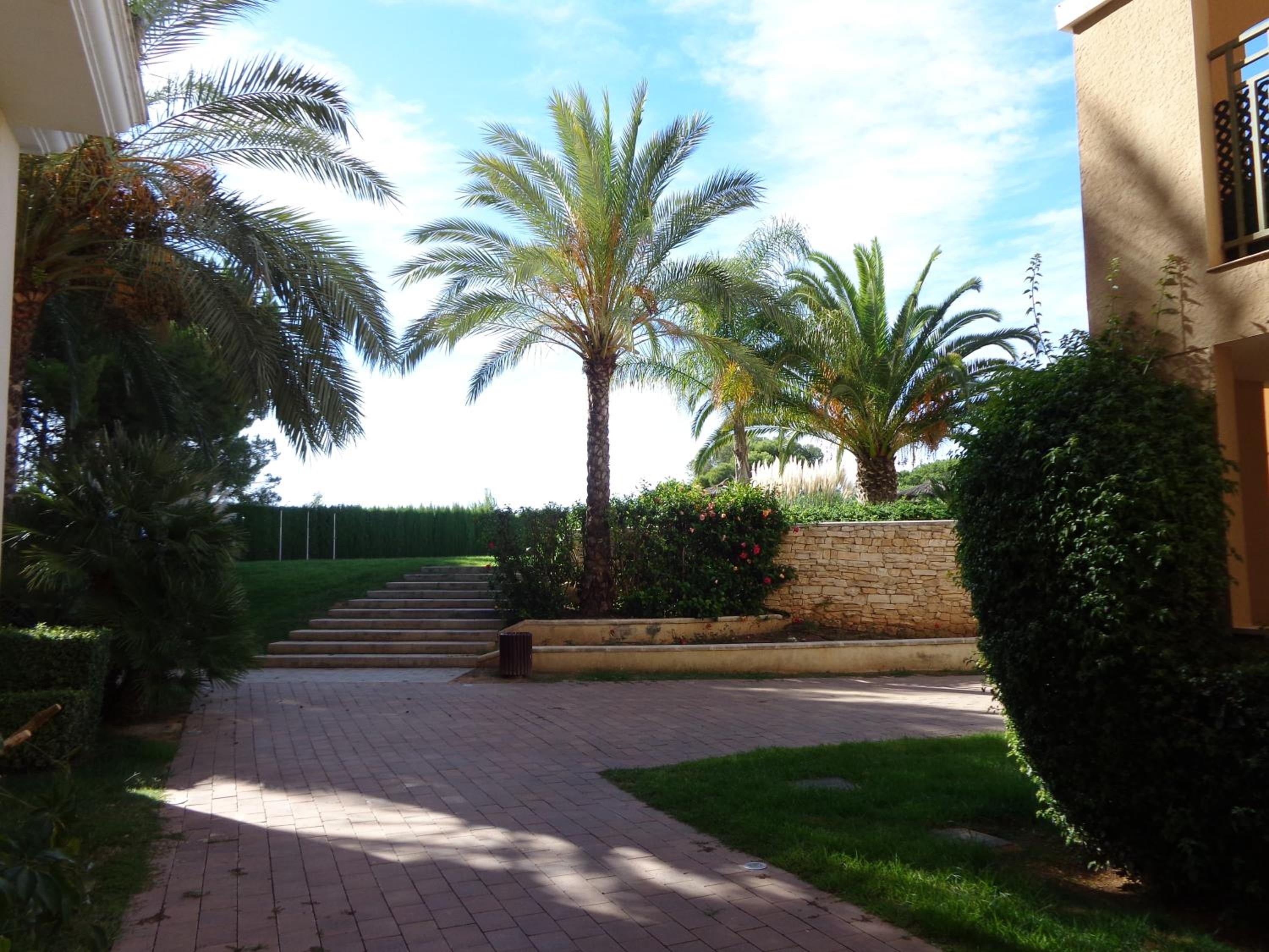 Cortes valencianas 45 view 5