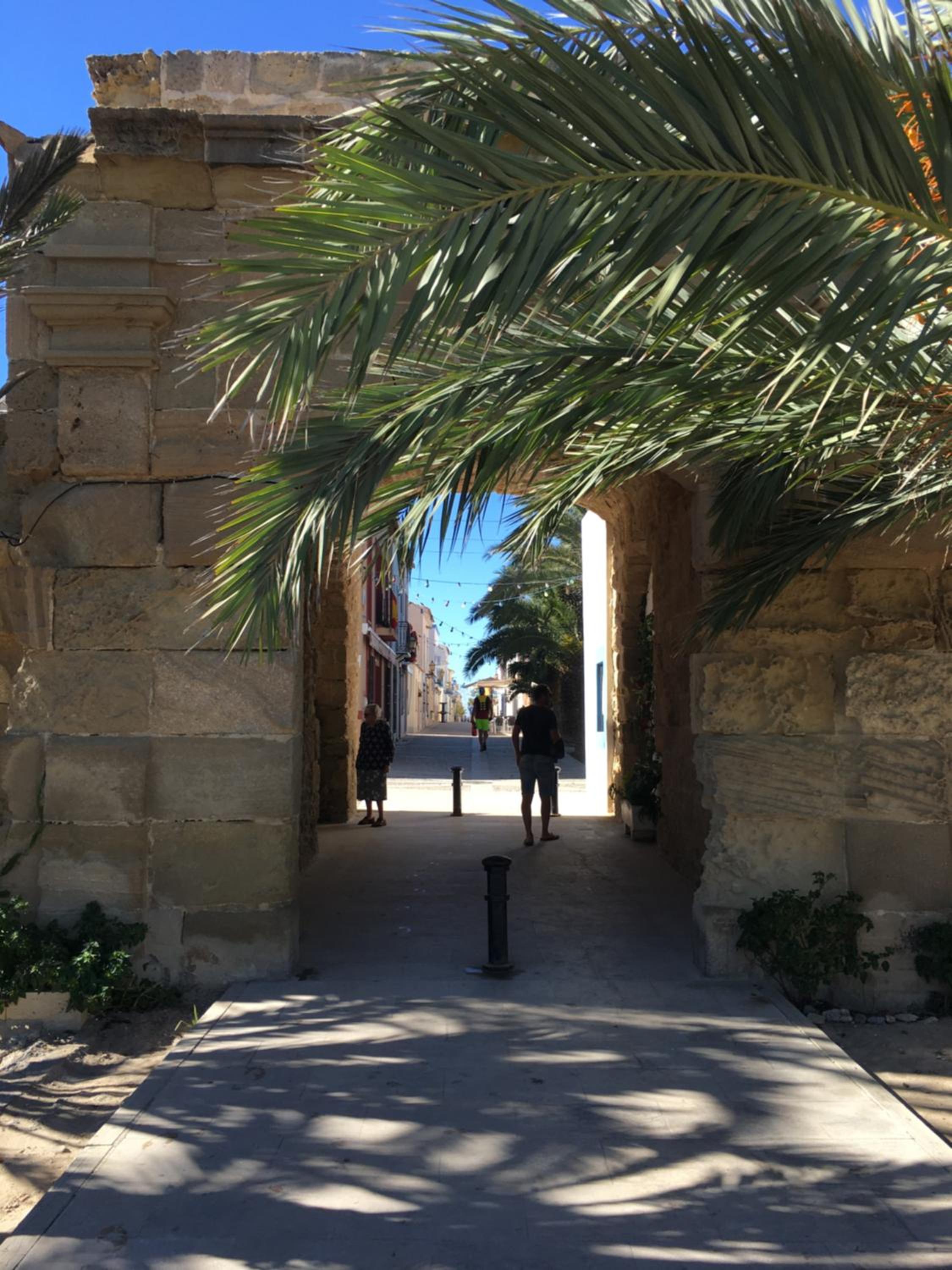 Photo 19