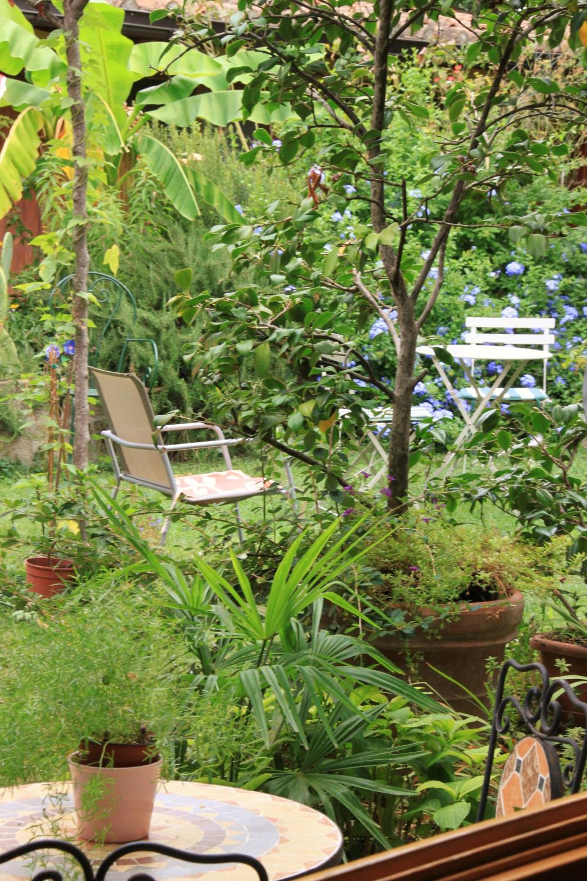 Studios Garden Terrace Oltrarno