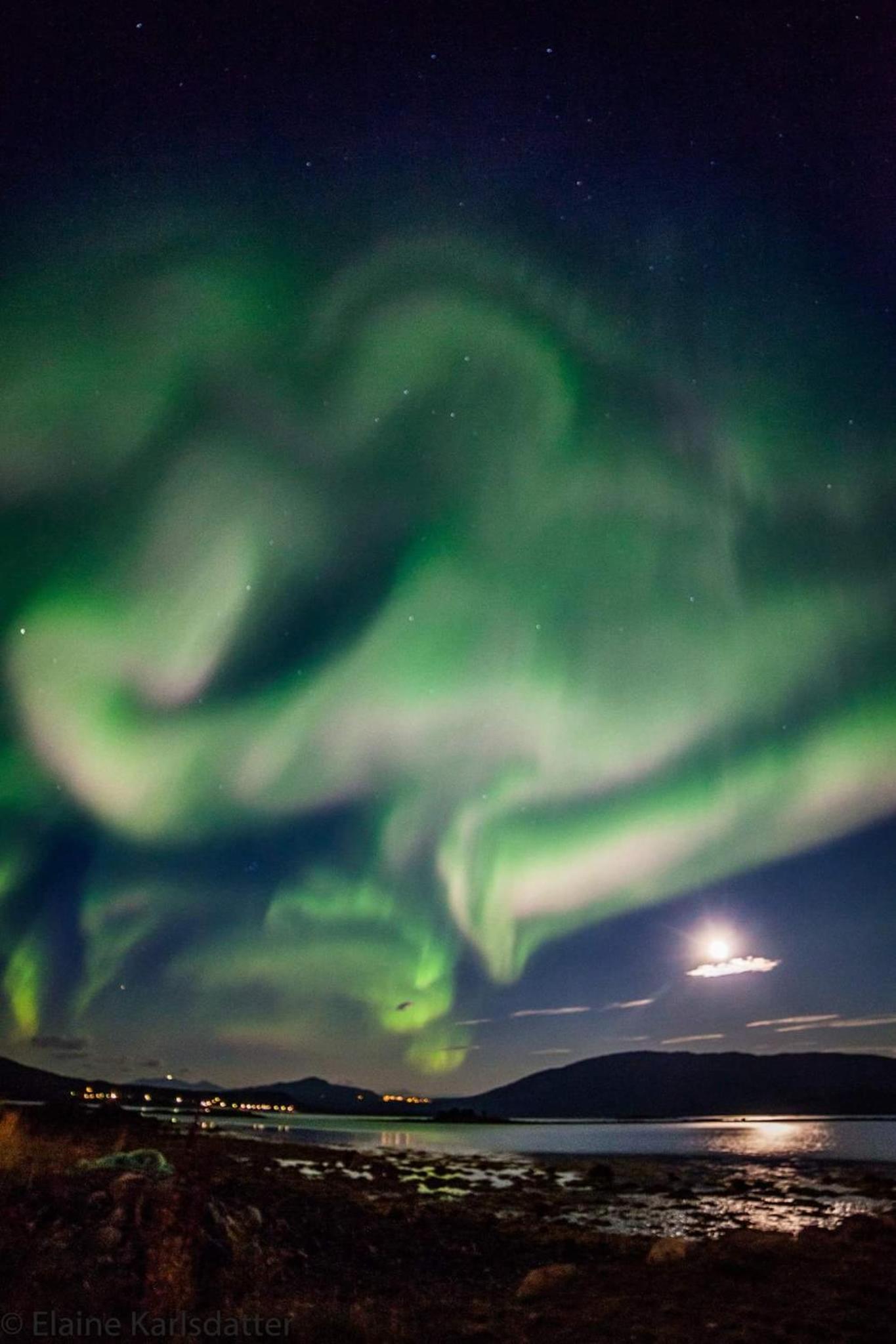 Norwegian Wild view 3