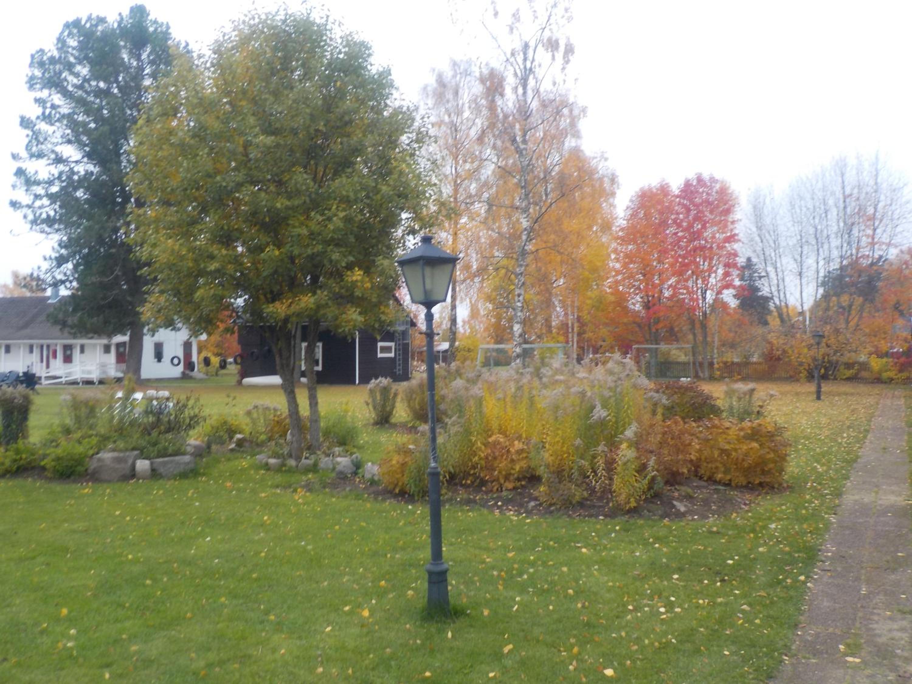 Photo 8