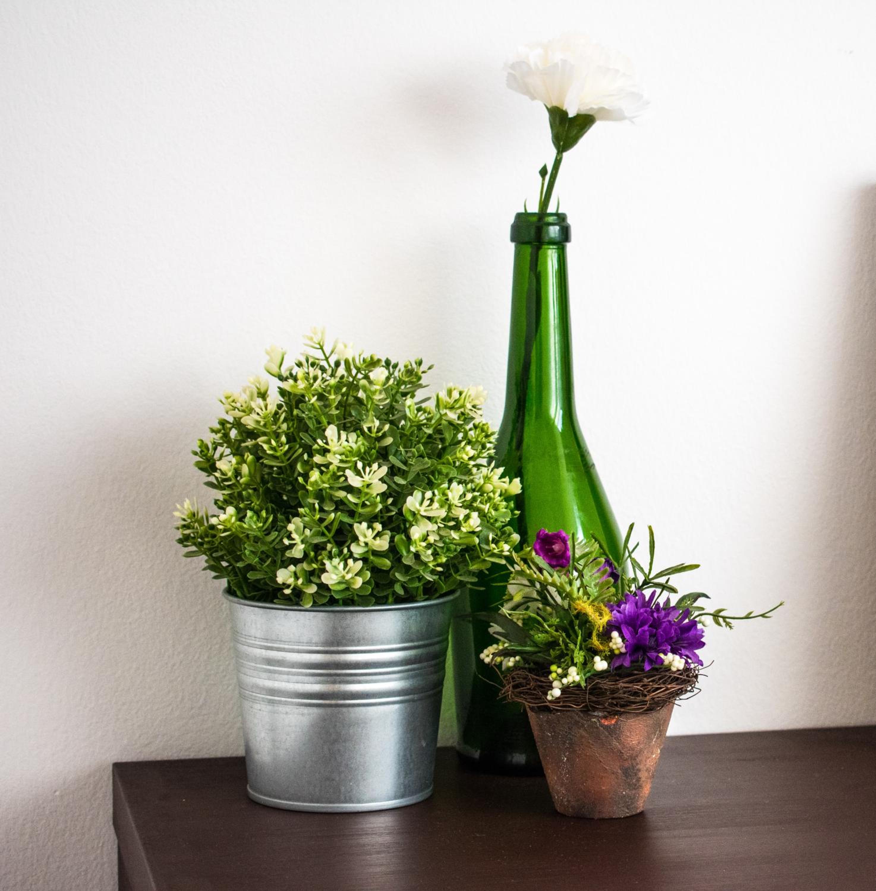Viola Apartment