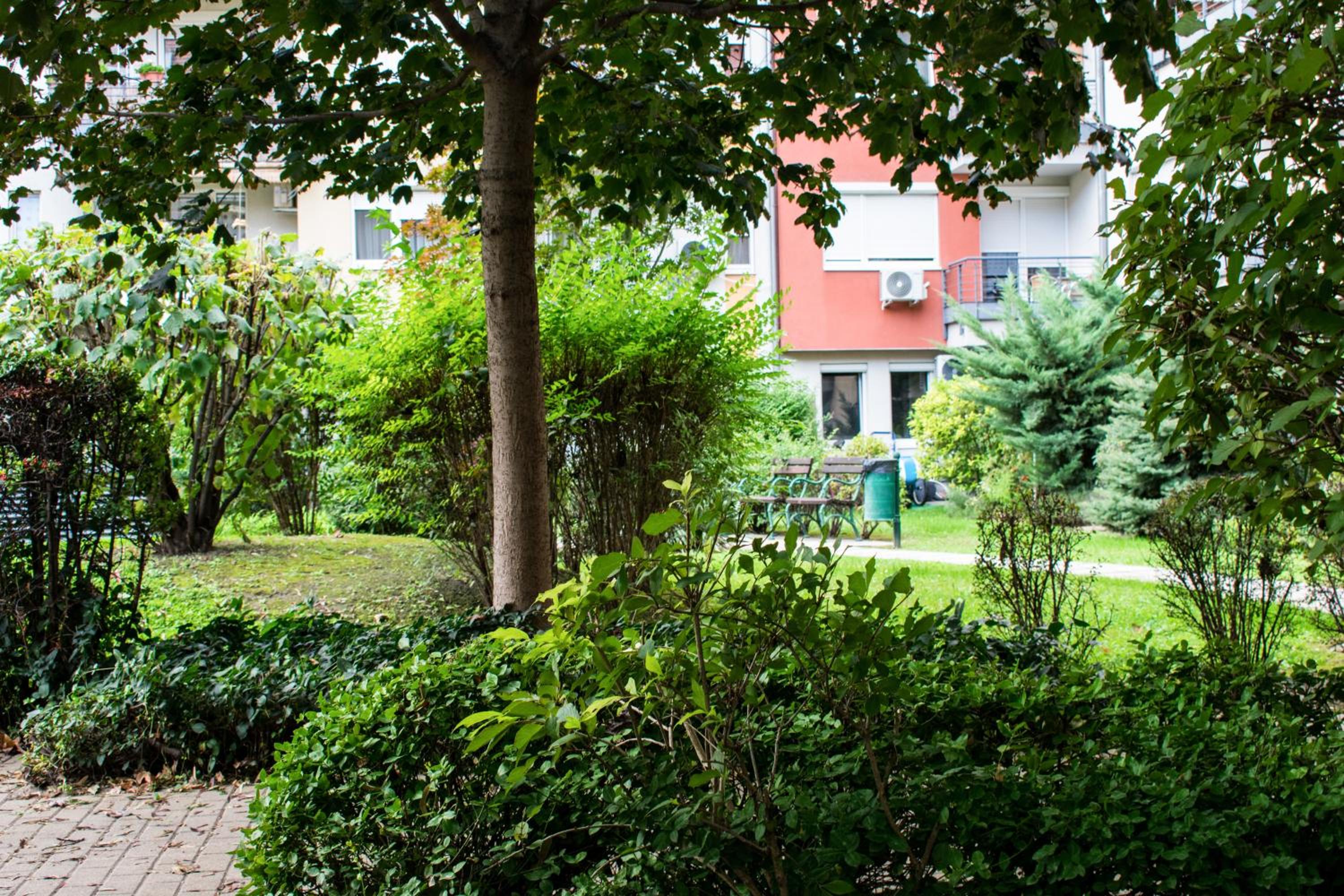 Viola Apartment