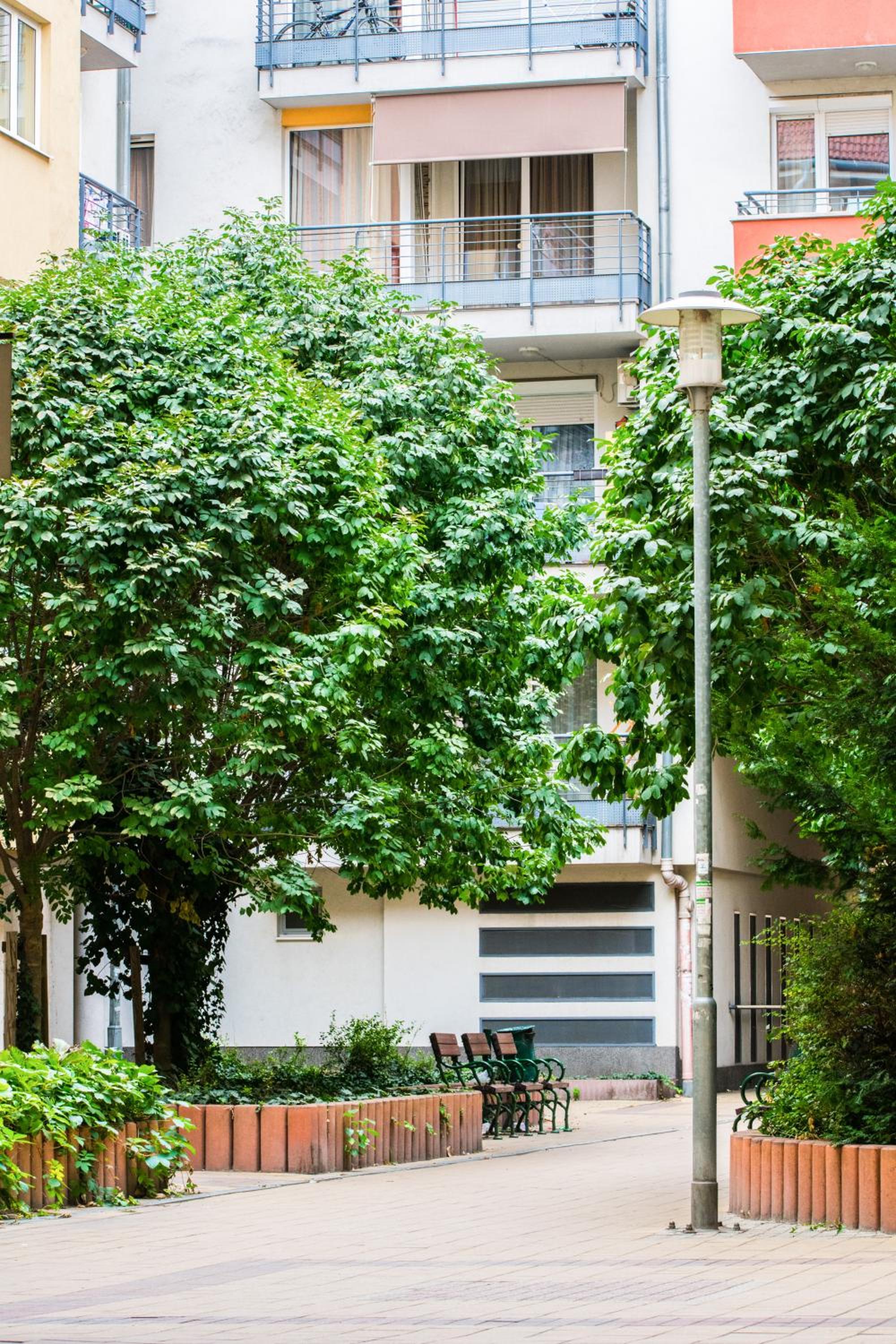 Viola Apartment