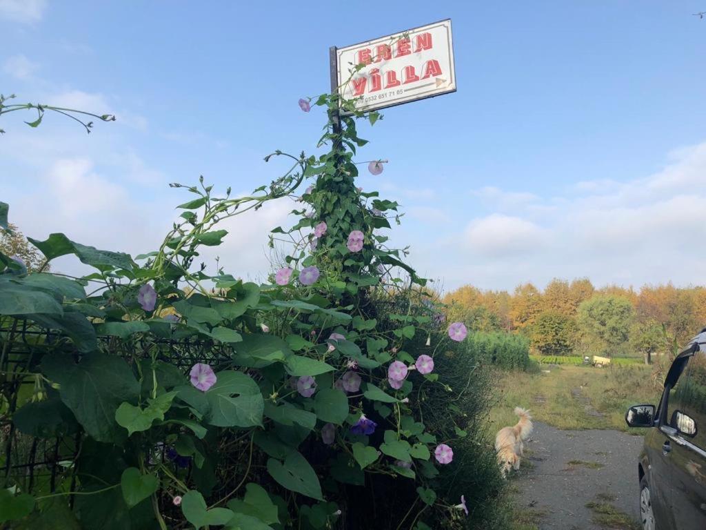 Eren Villa