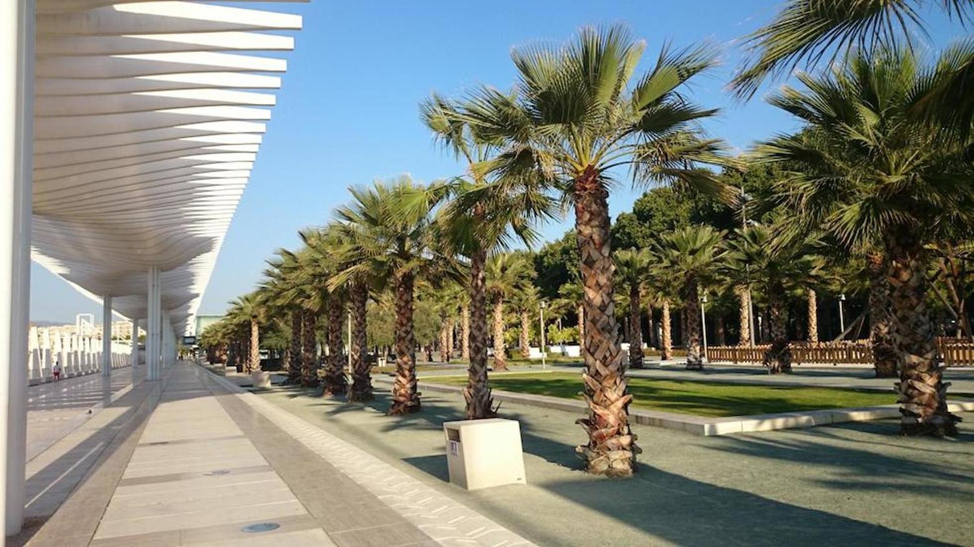 Malaga Rivas en Málaga — other