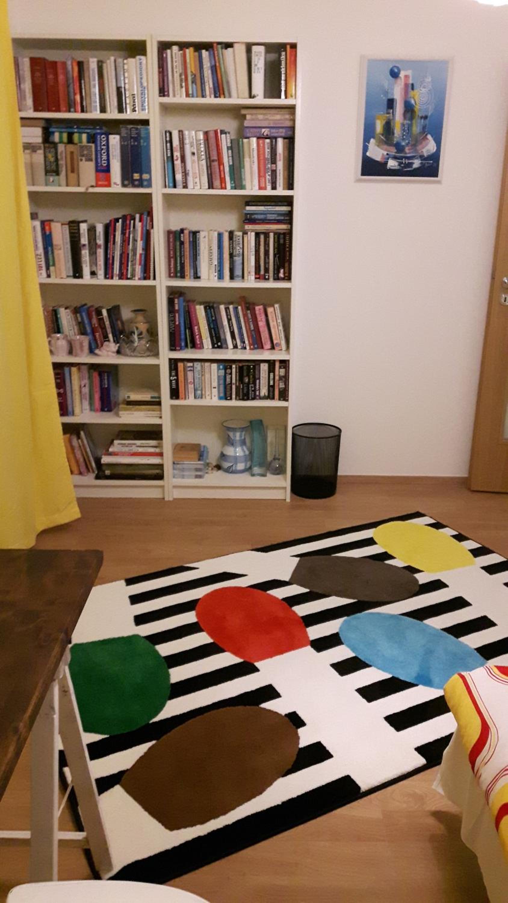 Spacious 3- rooms appartment with two terraces