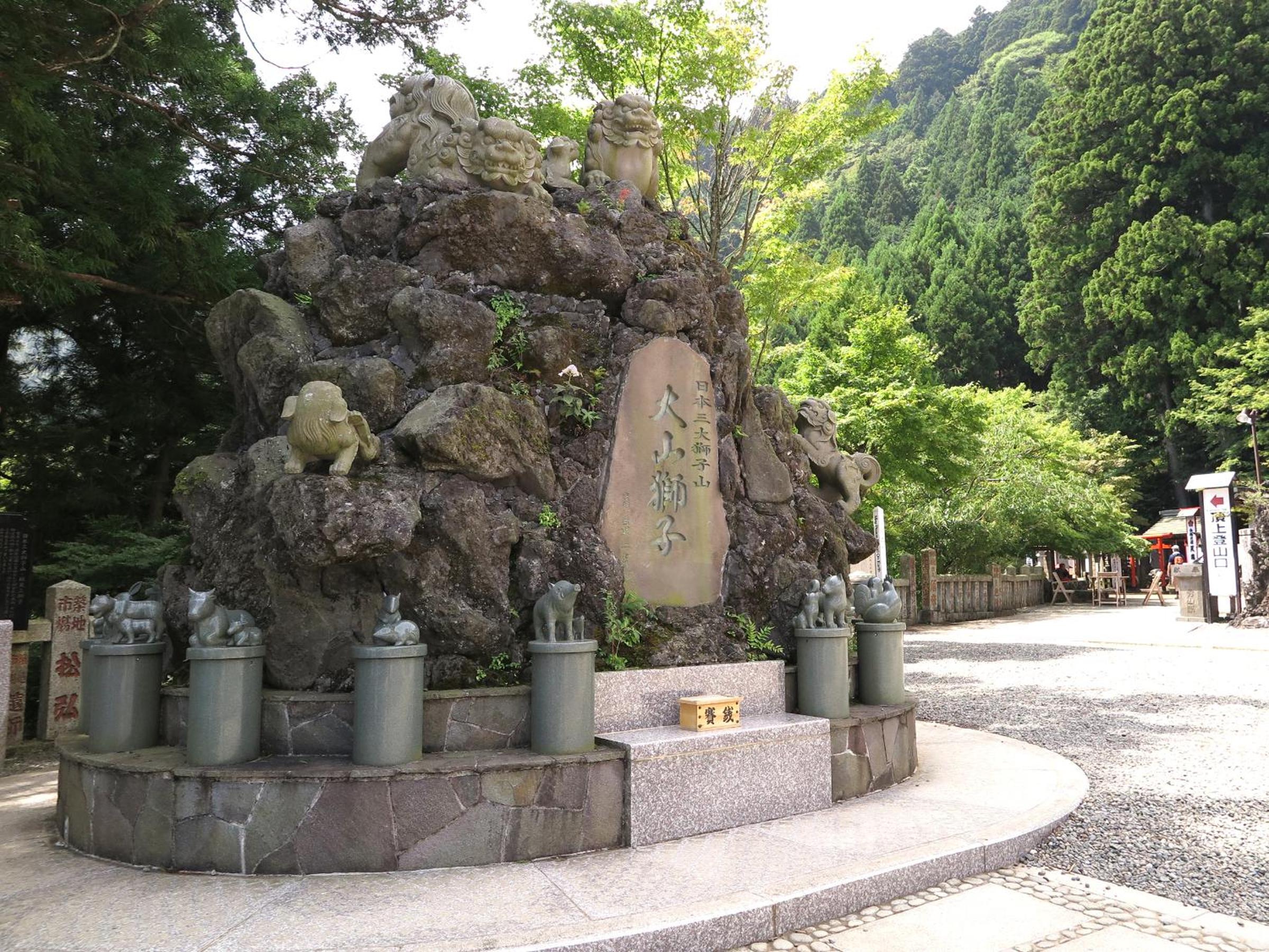 Photo 51