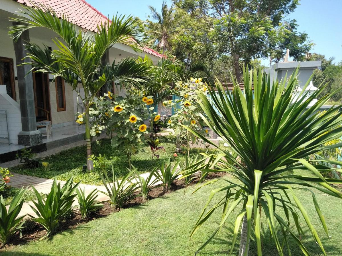 Photo 11