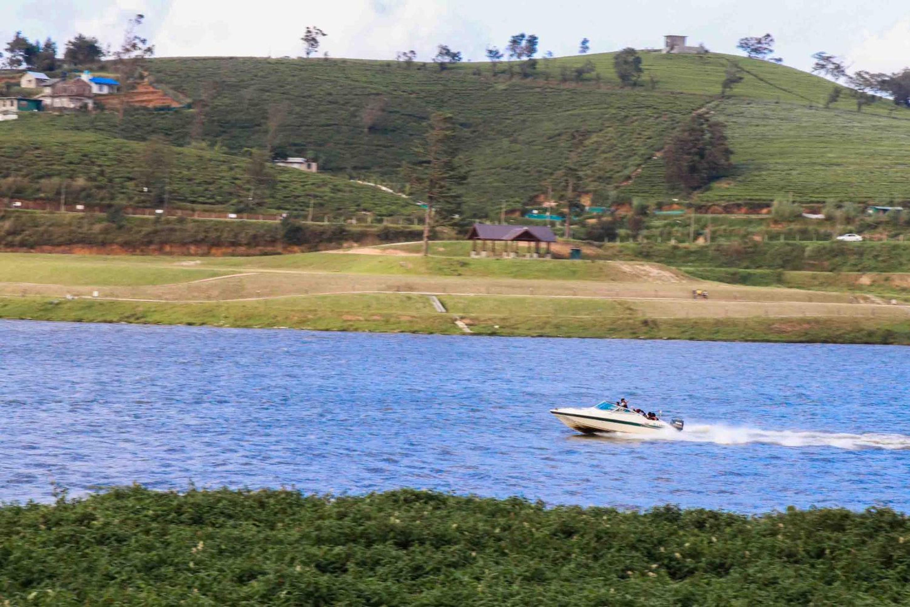 Gregory Hills