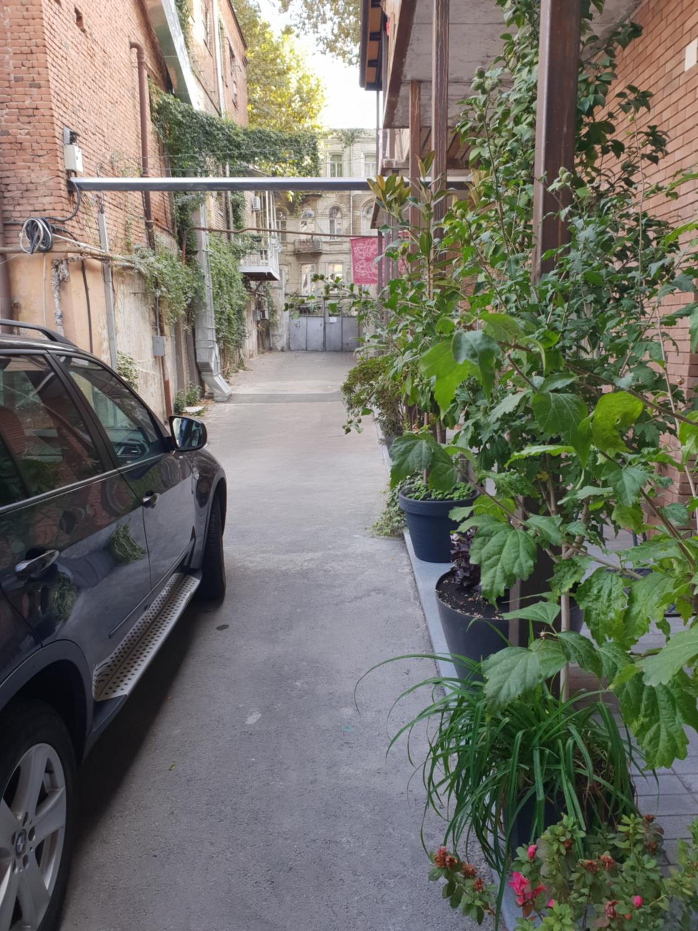 Photo 31
