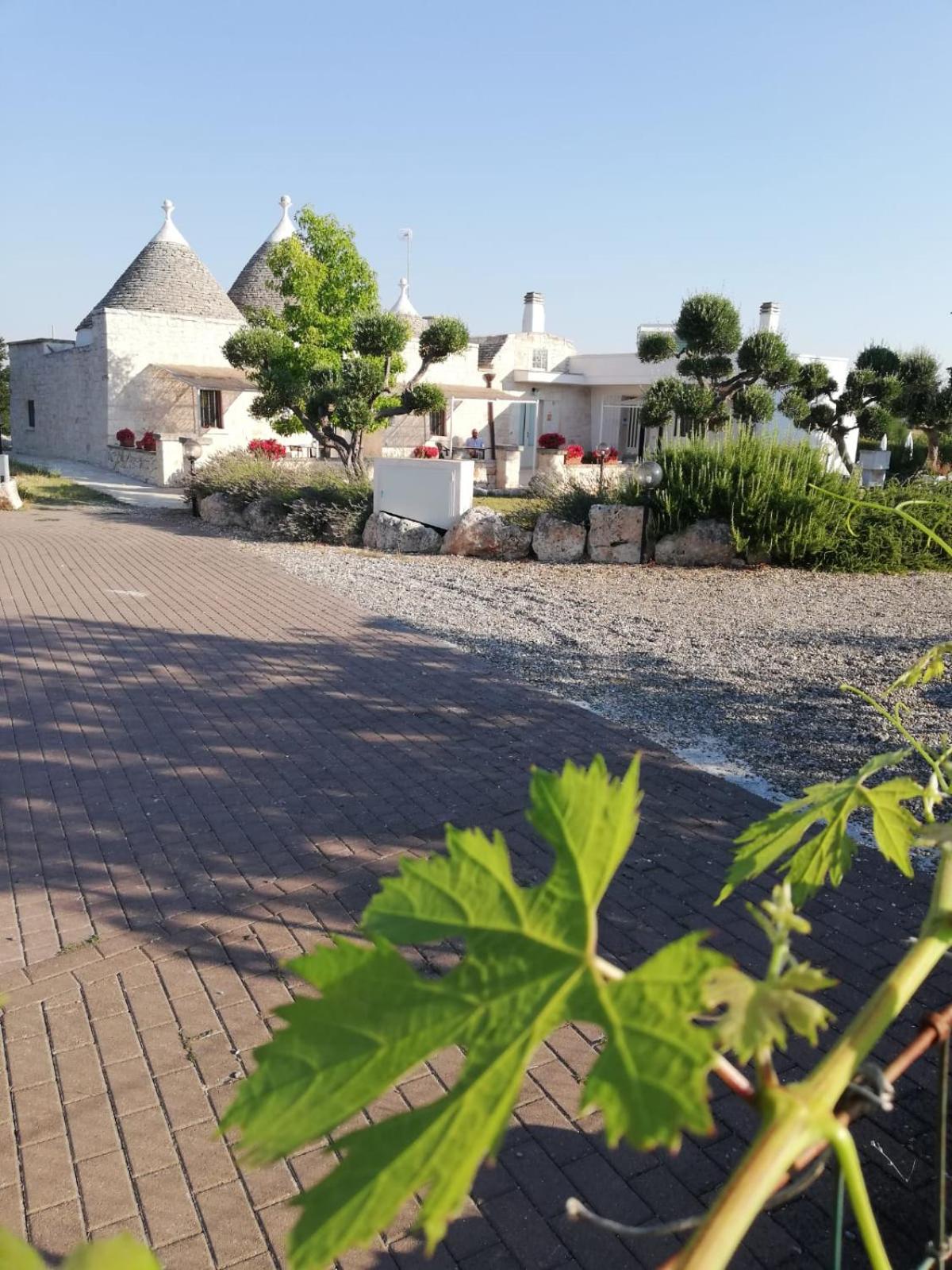 Antiche Dimore TerraRossa view 5