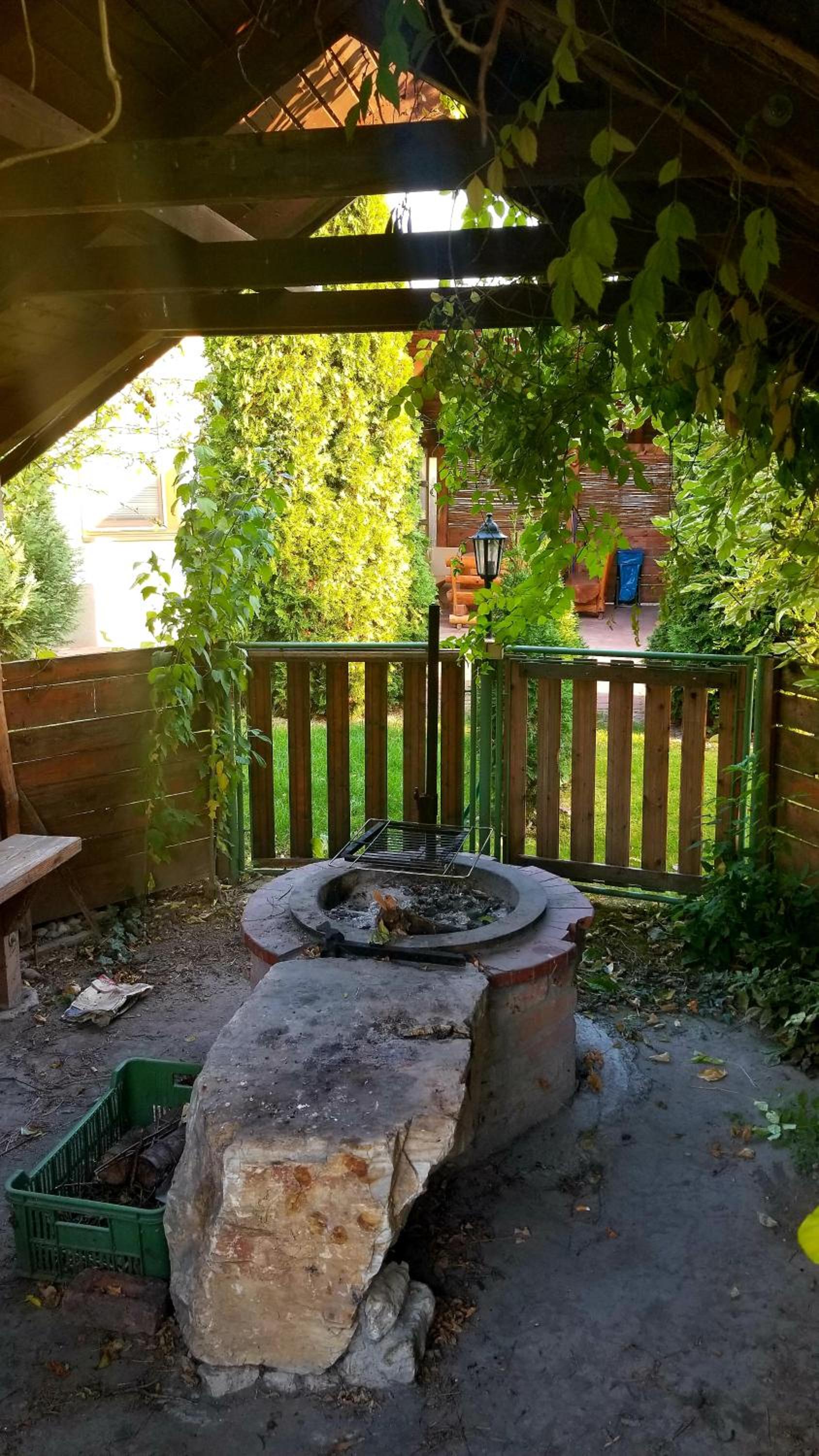 Photo 19