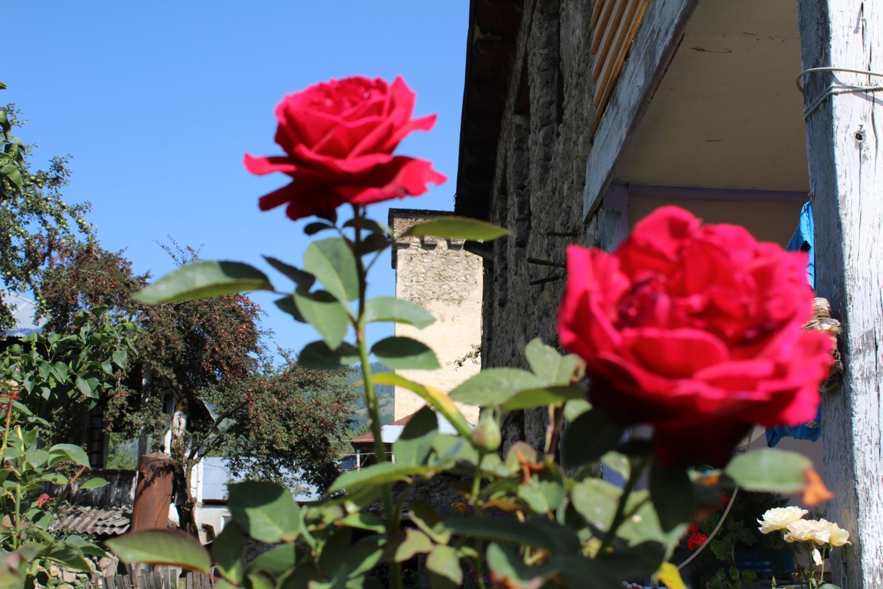 Photo 38