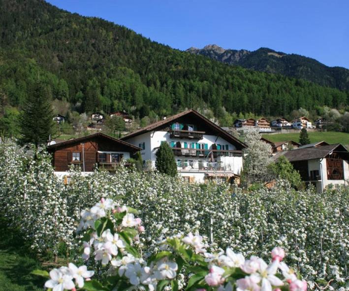 Residence Streitlhof
