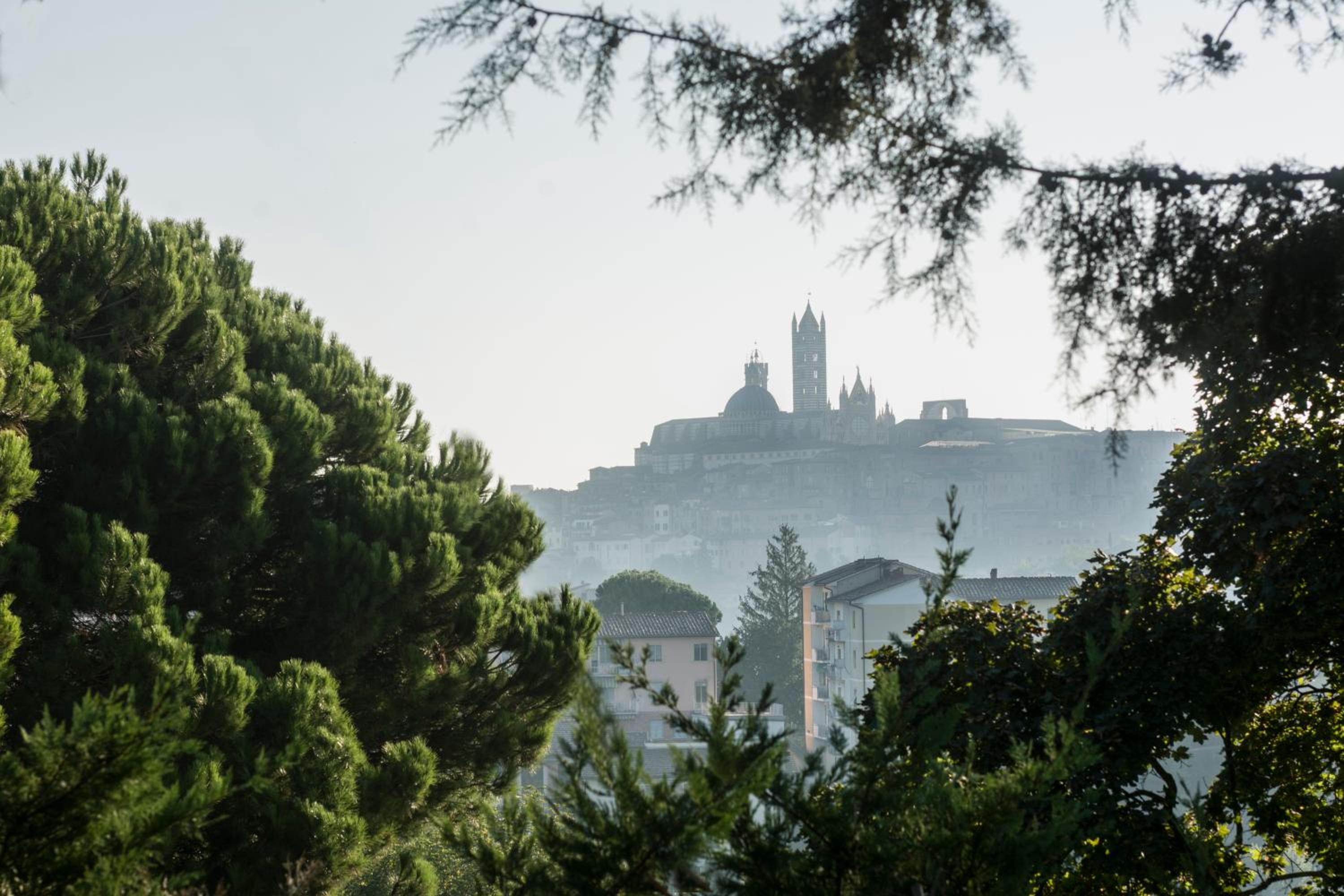 Borgo Villa Risi view 2