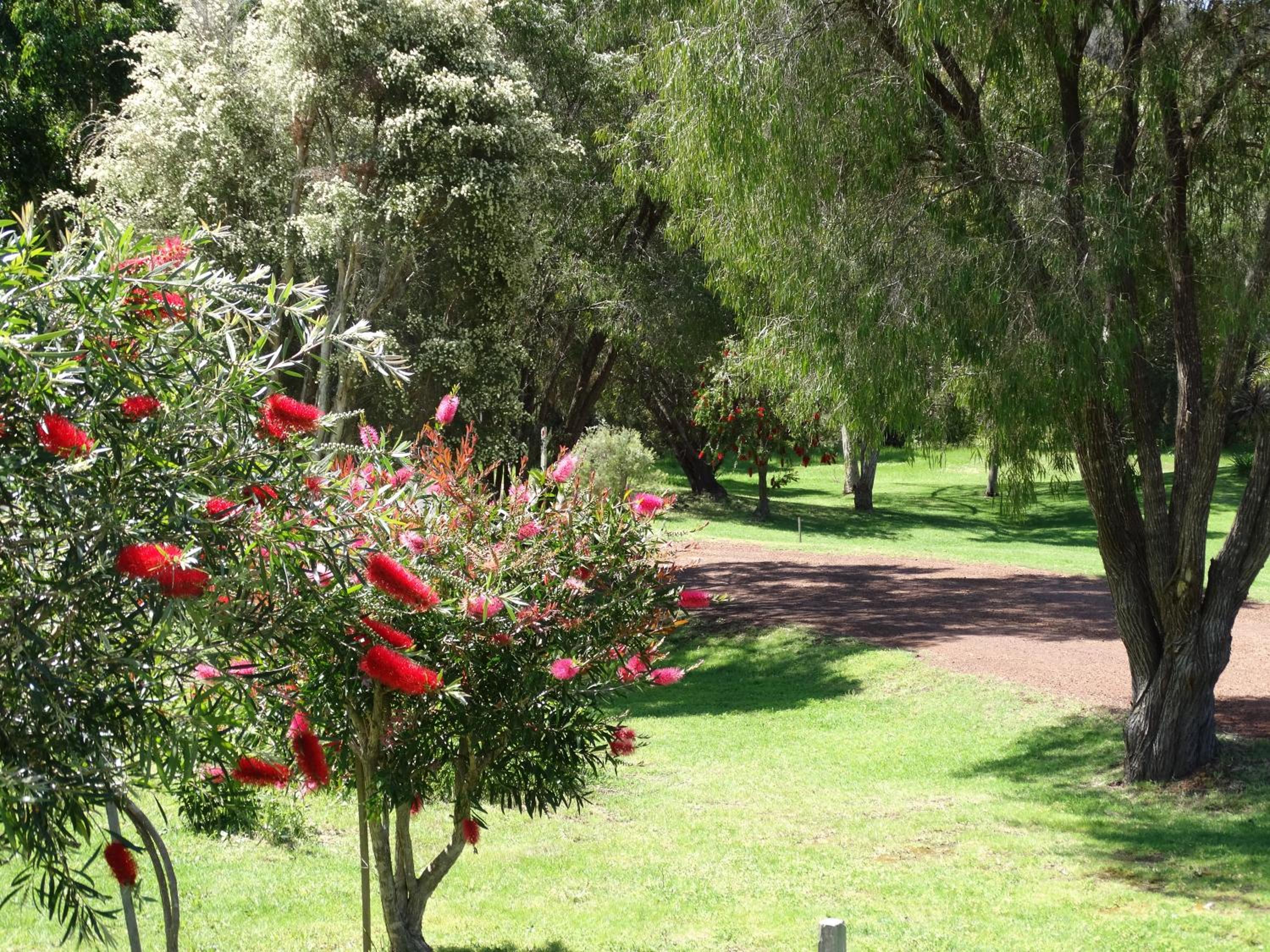 Pinda Lodge