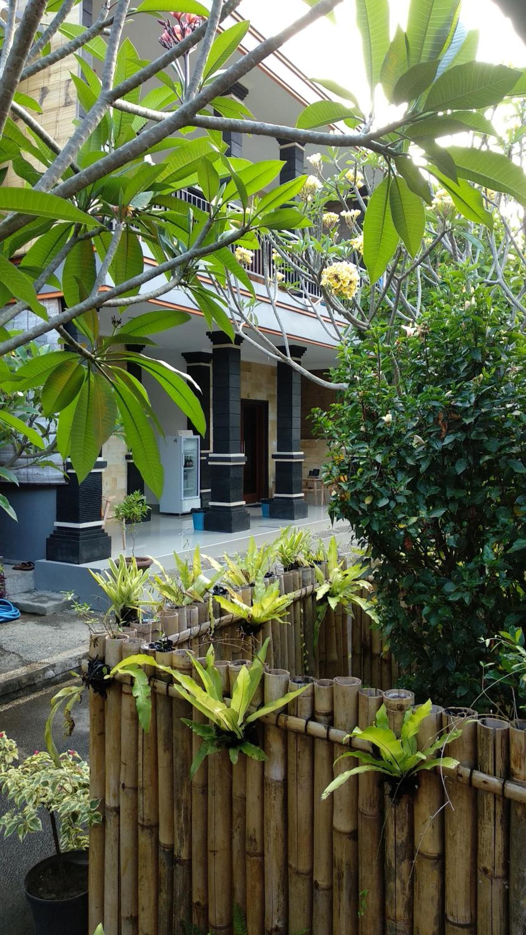 Ayye Bungalows