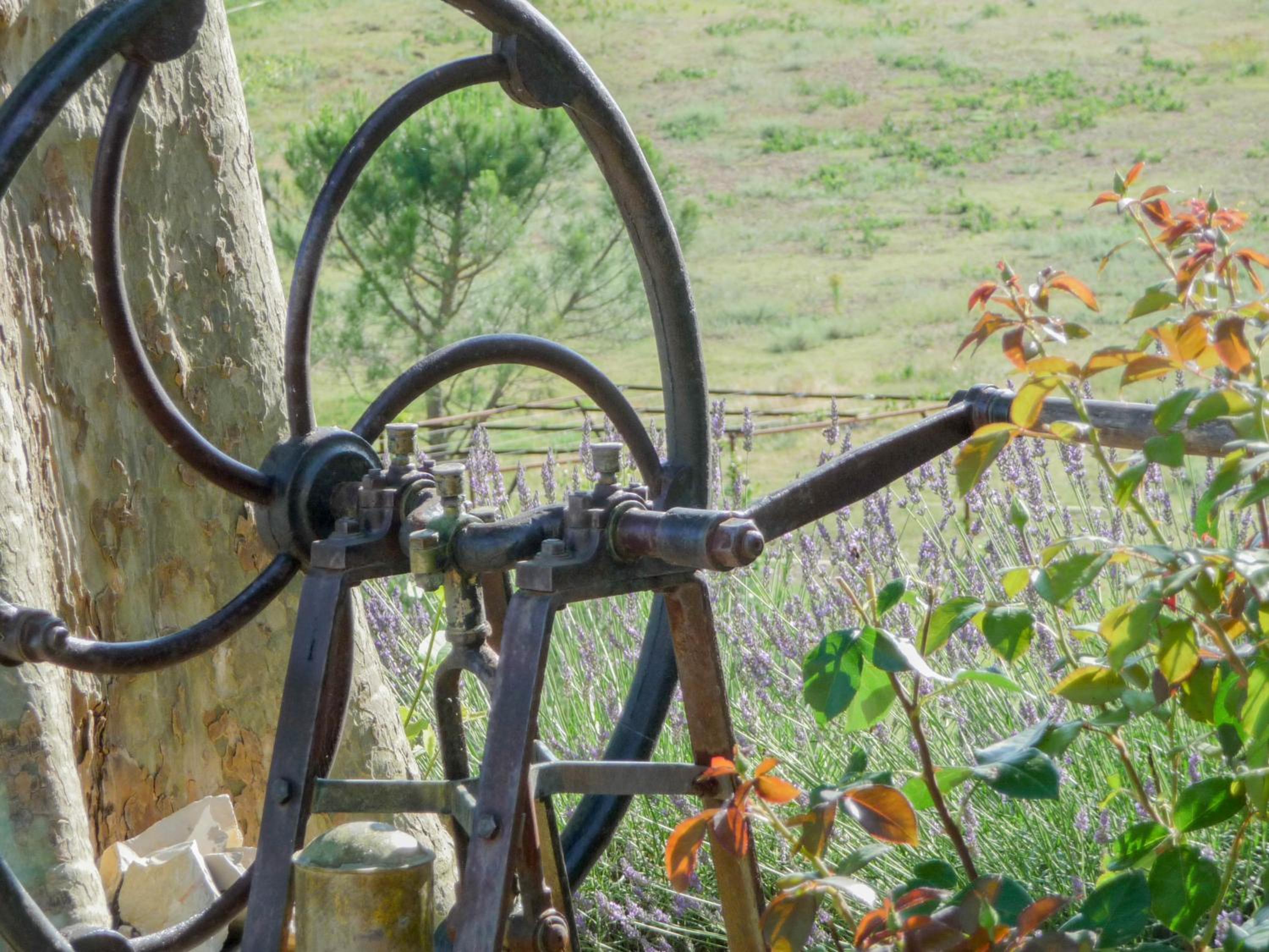 Domaine de Rochebelle