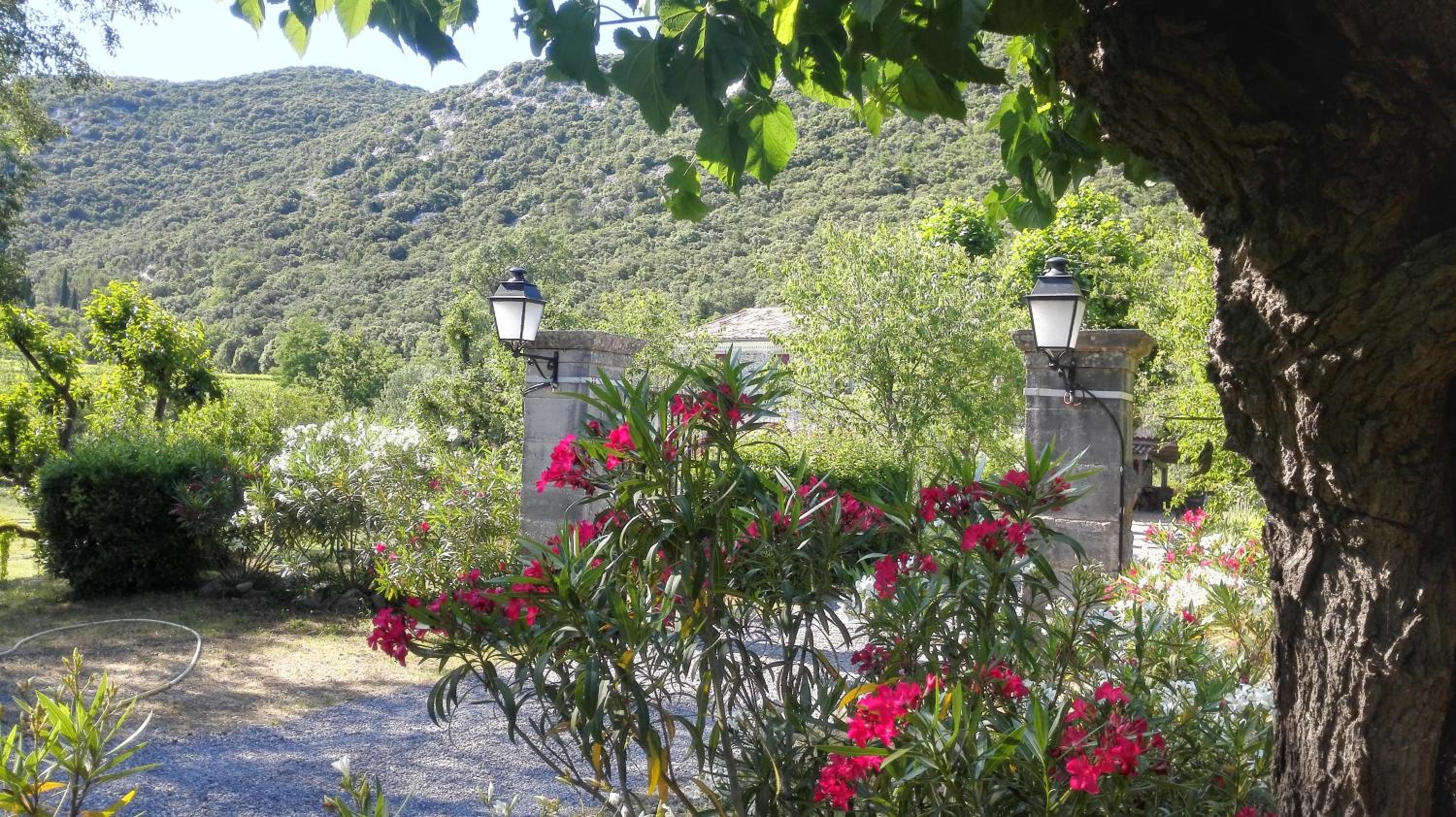Domaine de Rochebelle