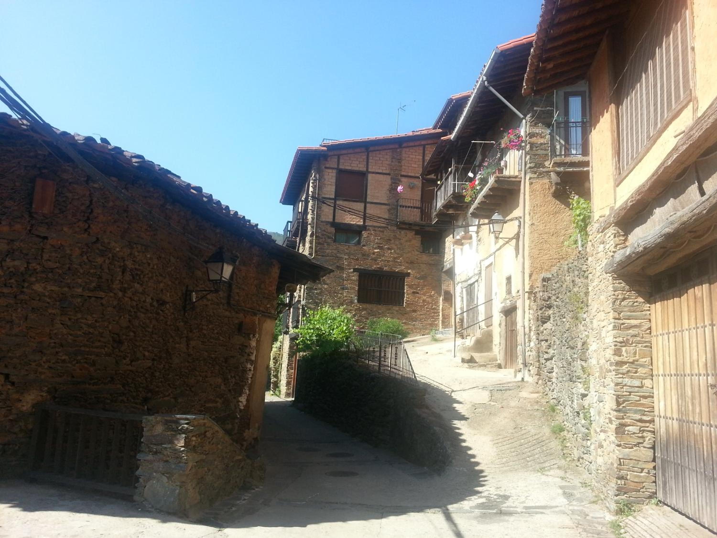 Photo 42