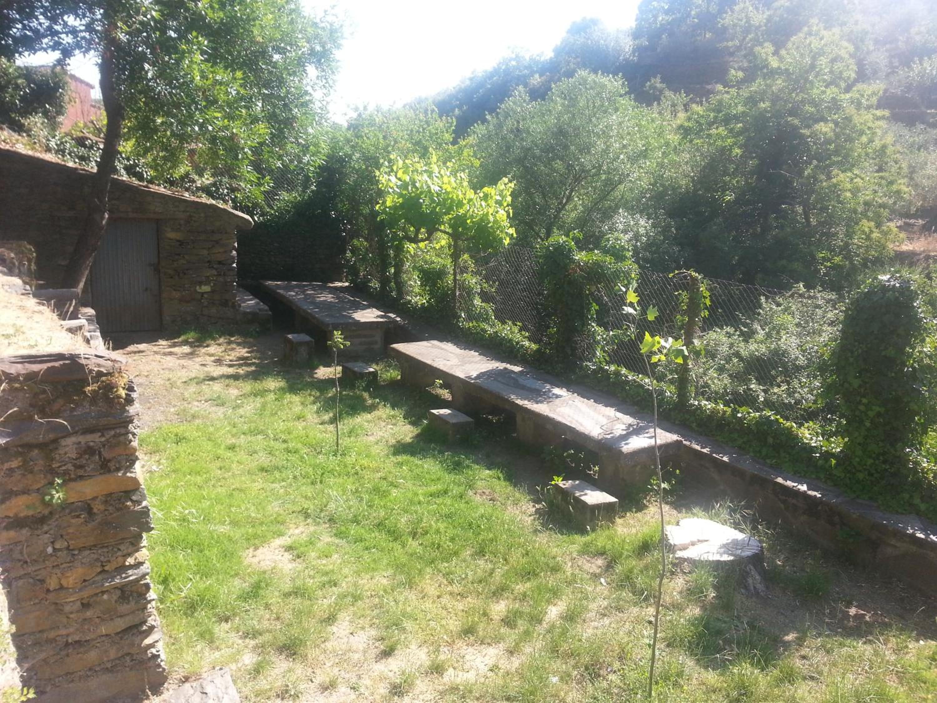 Photo 47