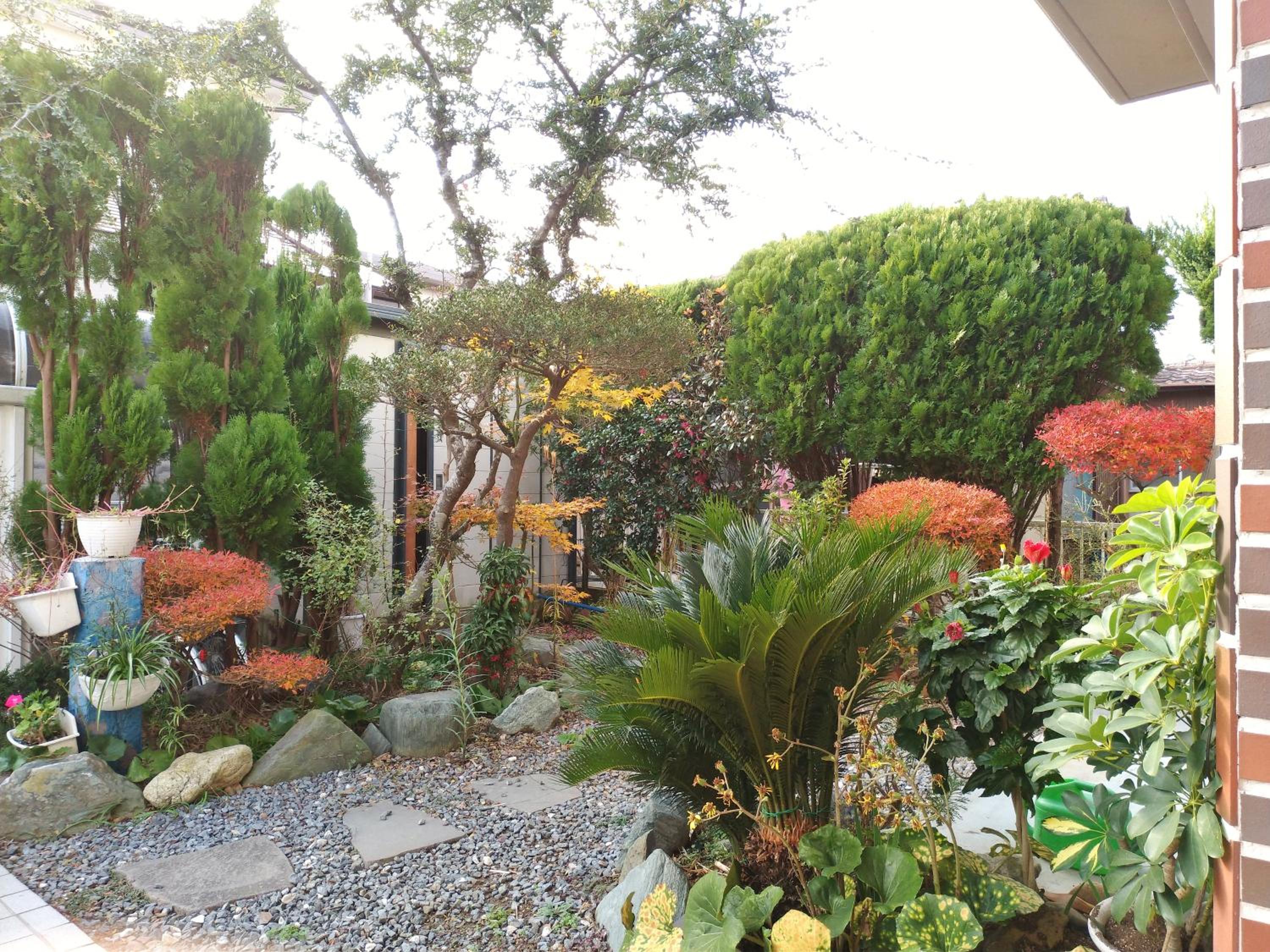 Guesthouse Shang view 2